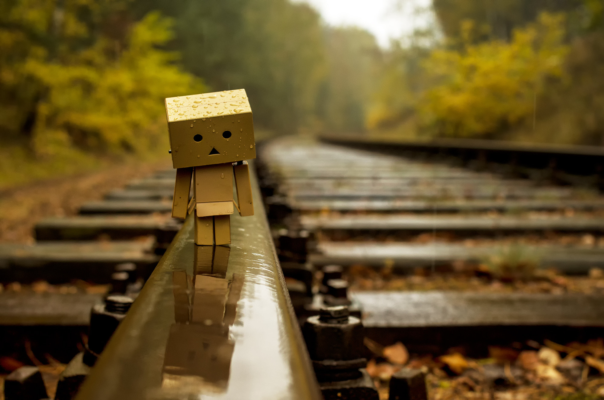 Pentax K-50 sample photo. Danbo photography