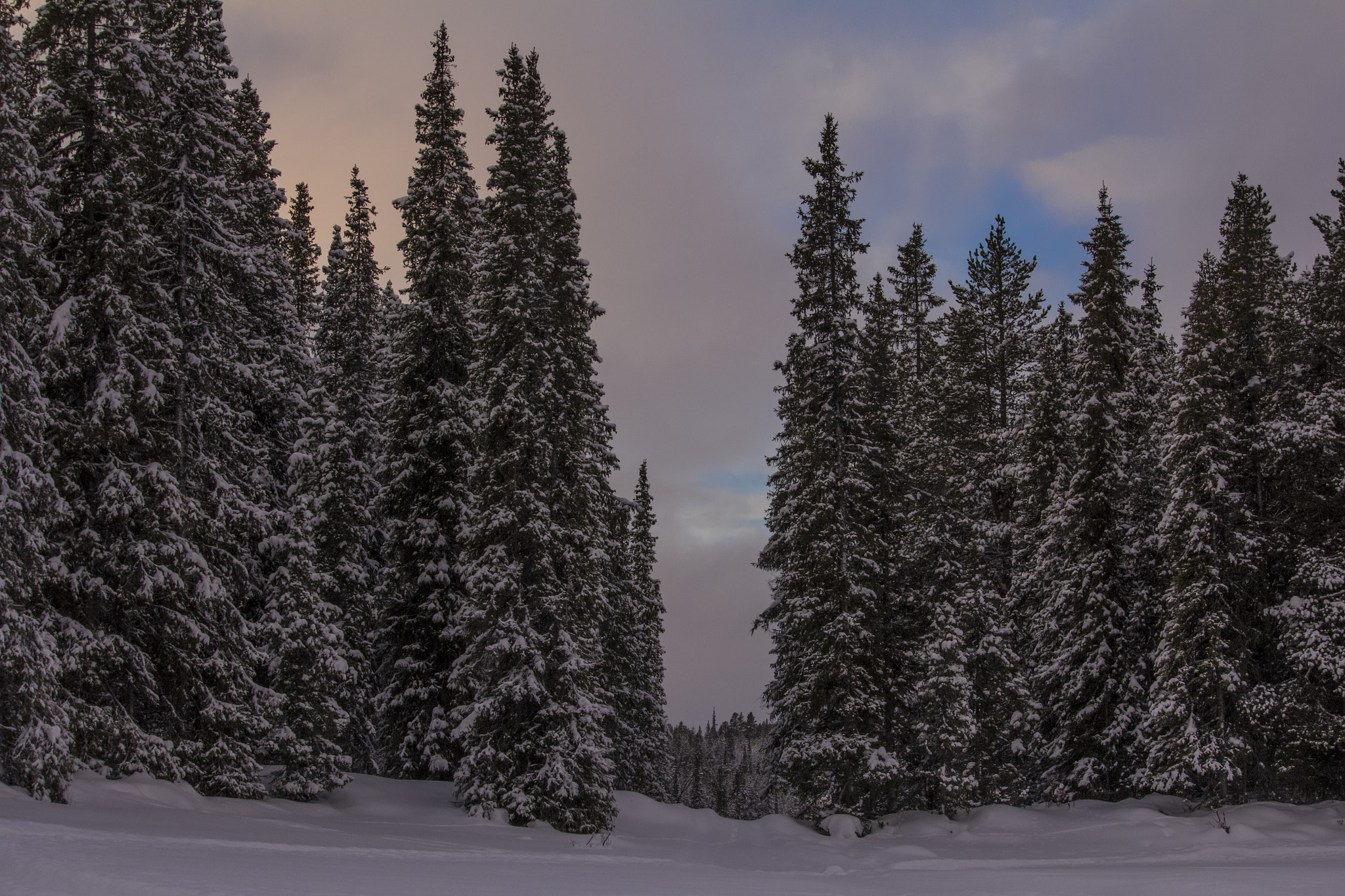 Canon EF-S 55-250mm F4-5.6 IS STM sample photo. Winterscape photography