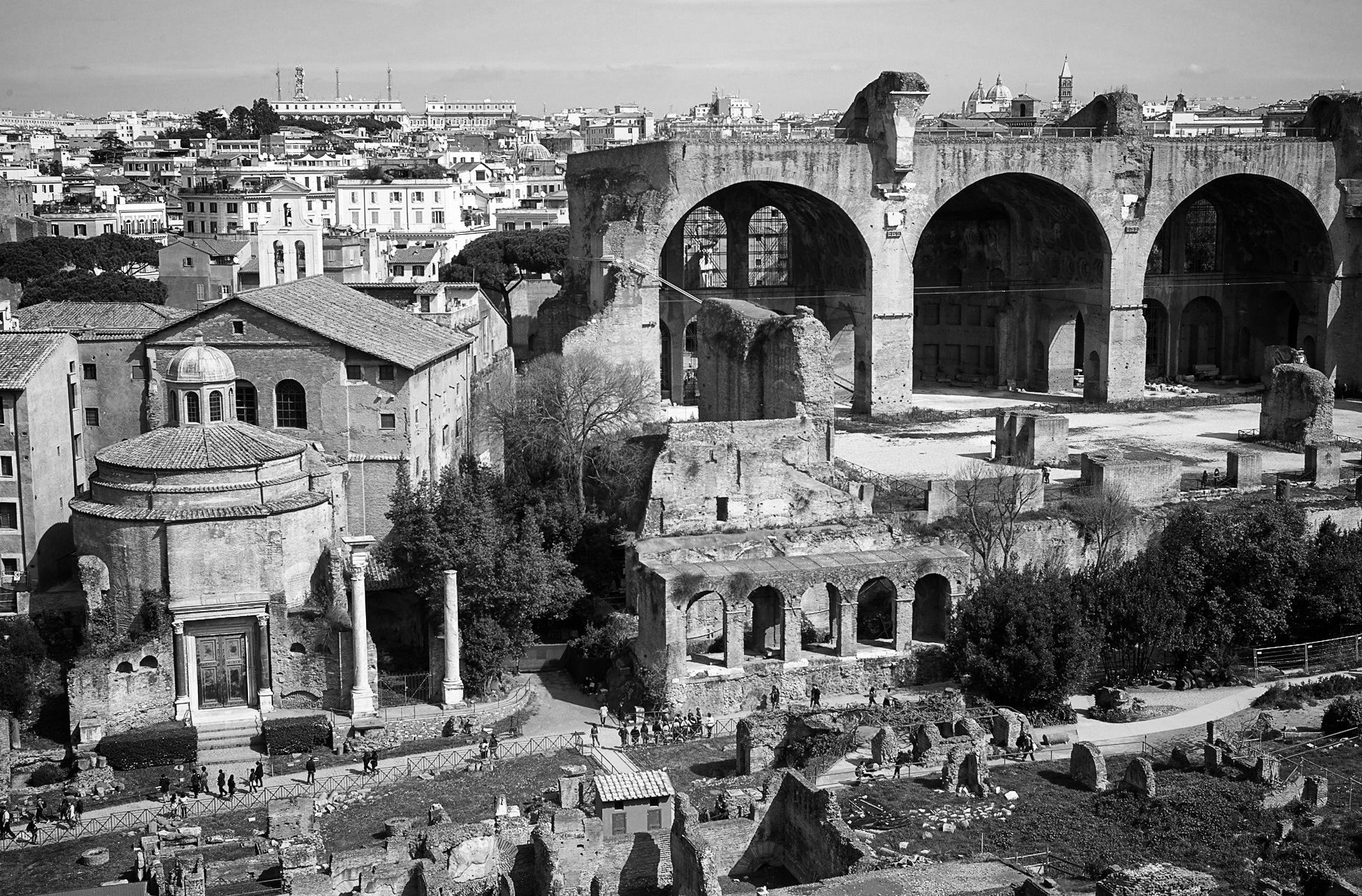 Roma