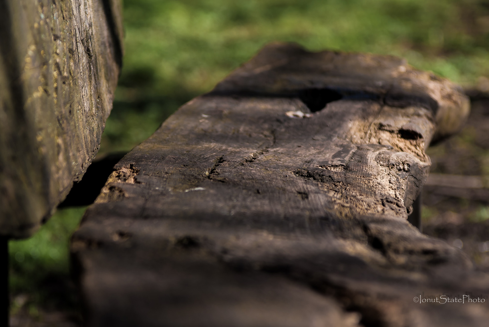 Sony Alpha DSLR-A200 sample photo. The banch photography