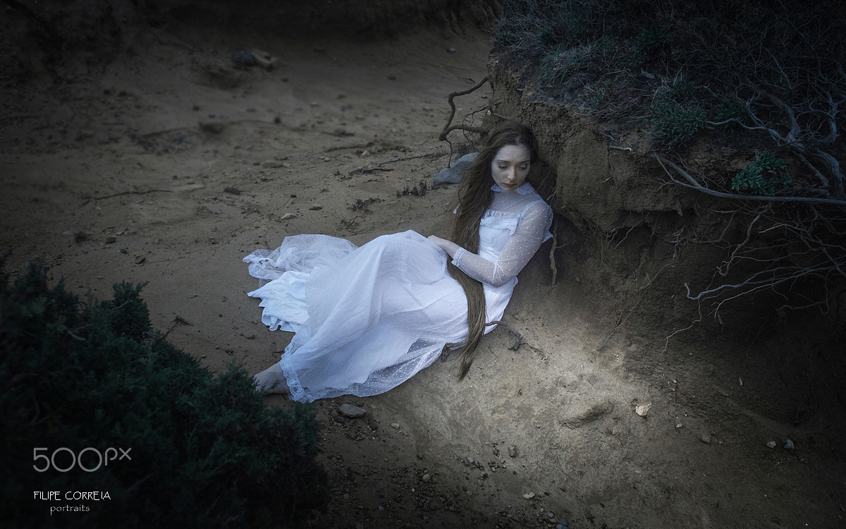 Fujifilm X-T1 + Fujifilm XF 16-55mm F2.8 R LM WR sample photo. Silent moment photography