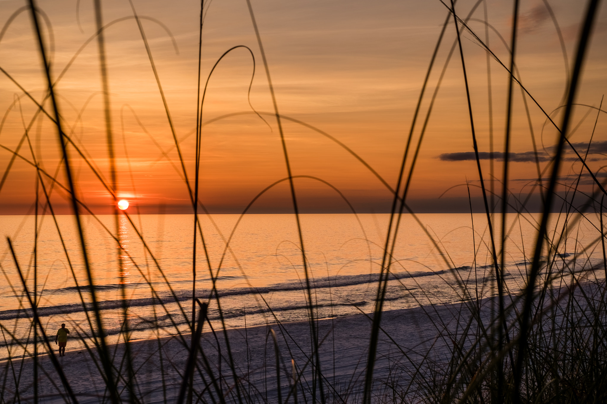 Fujifilm X-E2 sample photo. Sunset through beachgrass photography