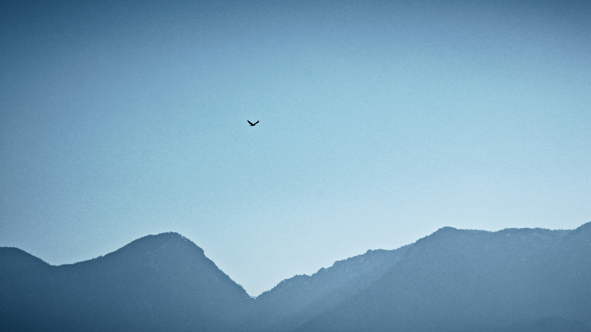 Canon EF 24-105mm F3.5-5.6 IS STM sample photo. A distant crow above ridge photography