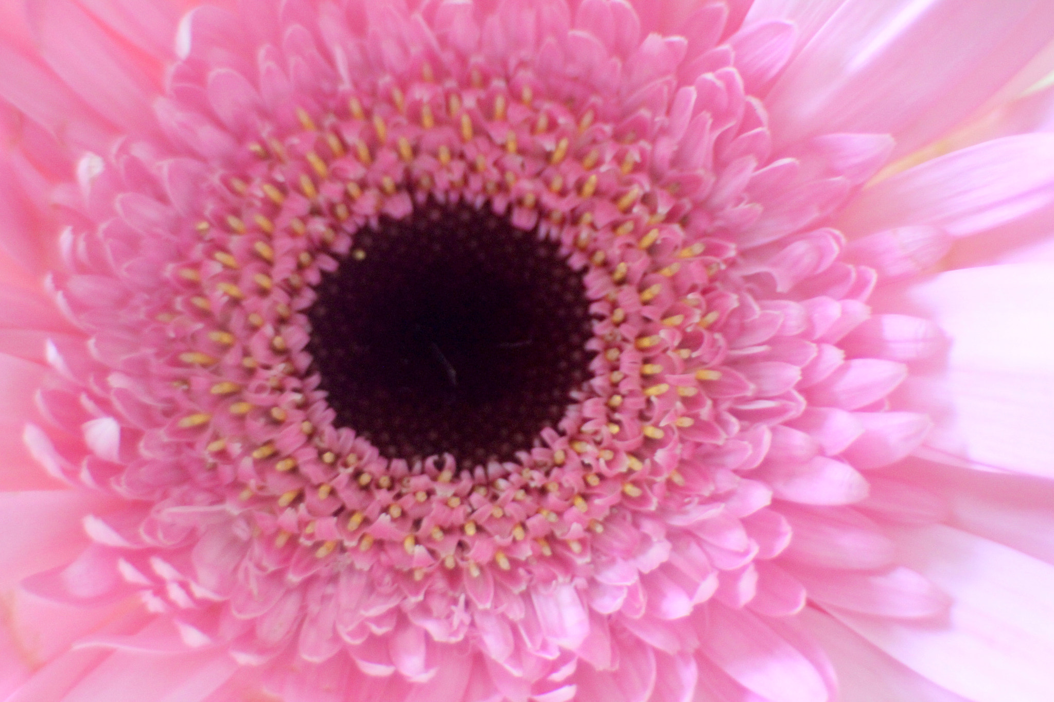 Canon EF 35-80mm f/4-5.6 sample photo