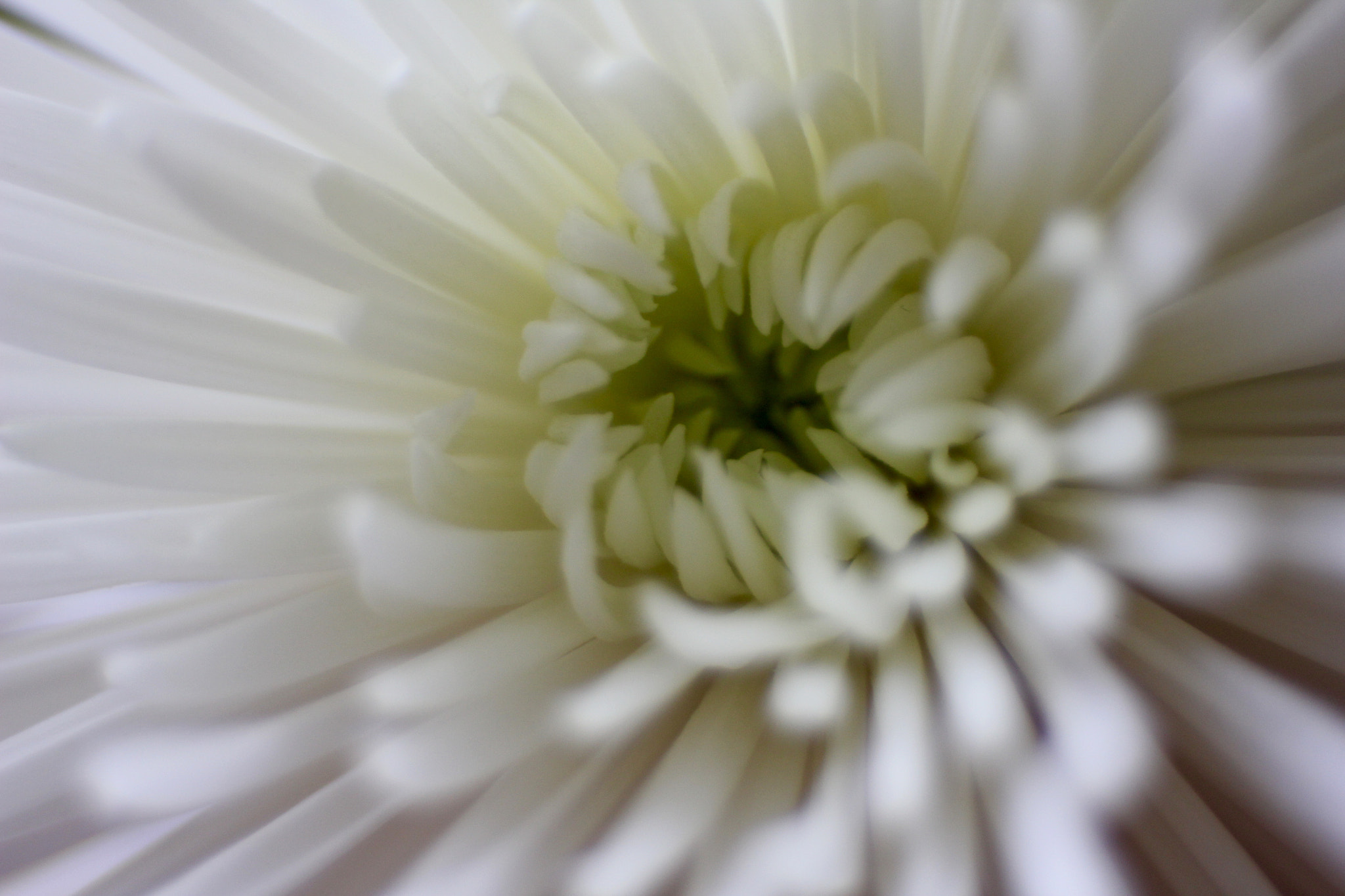Canon EF 35-80mm f/4-5.6 sample photo