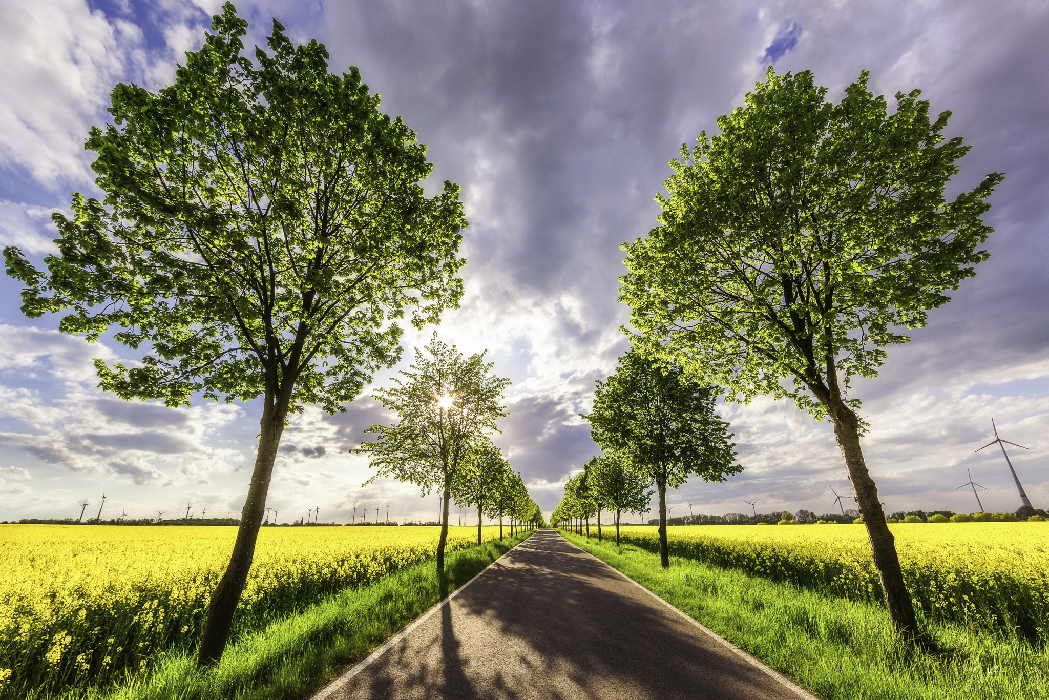 Canon EF 14mm F2.8L II USM sample photo. Earth wind raps and roll photography