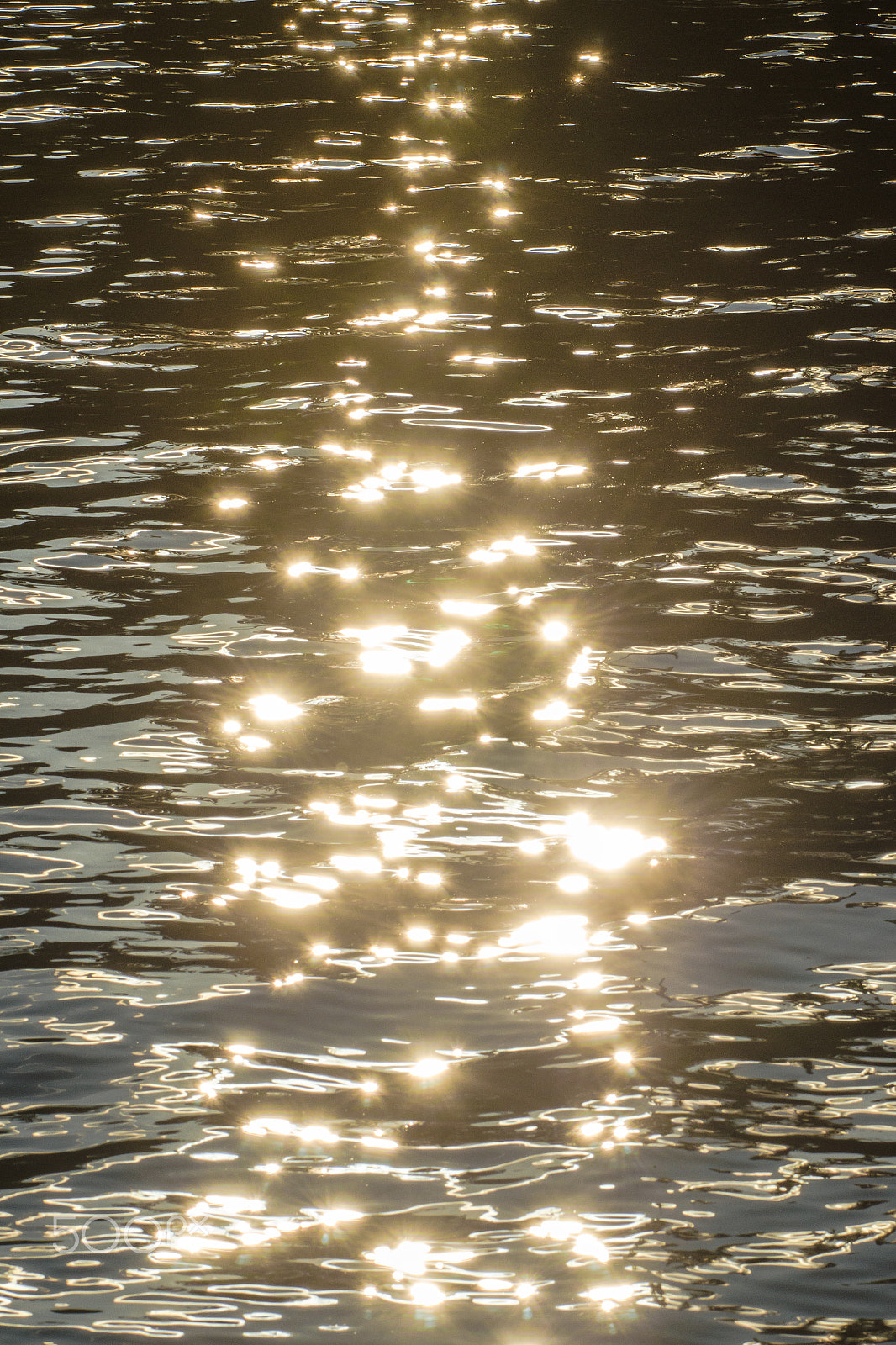 Nikon AF-S Nikkor 70-200mm F4G ED VR sample photo. Glitters is gold photography