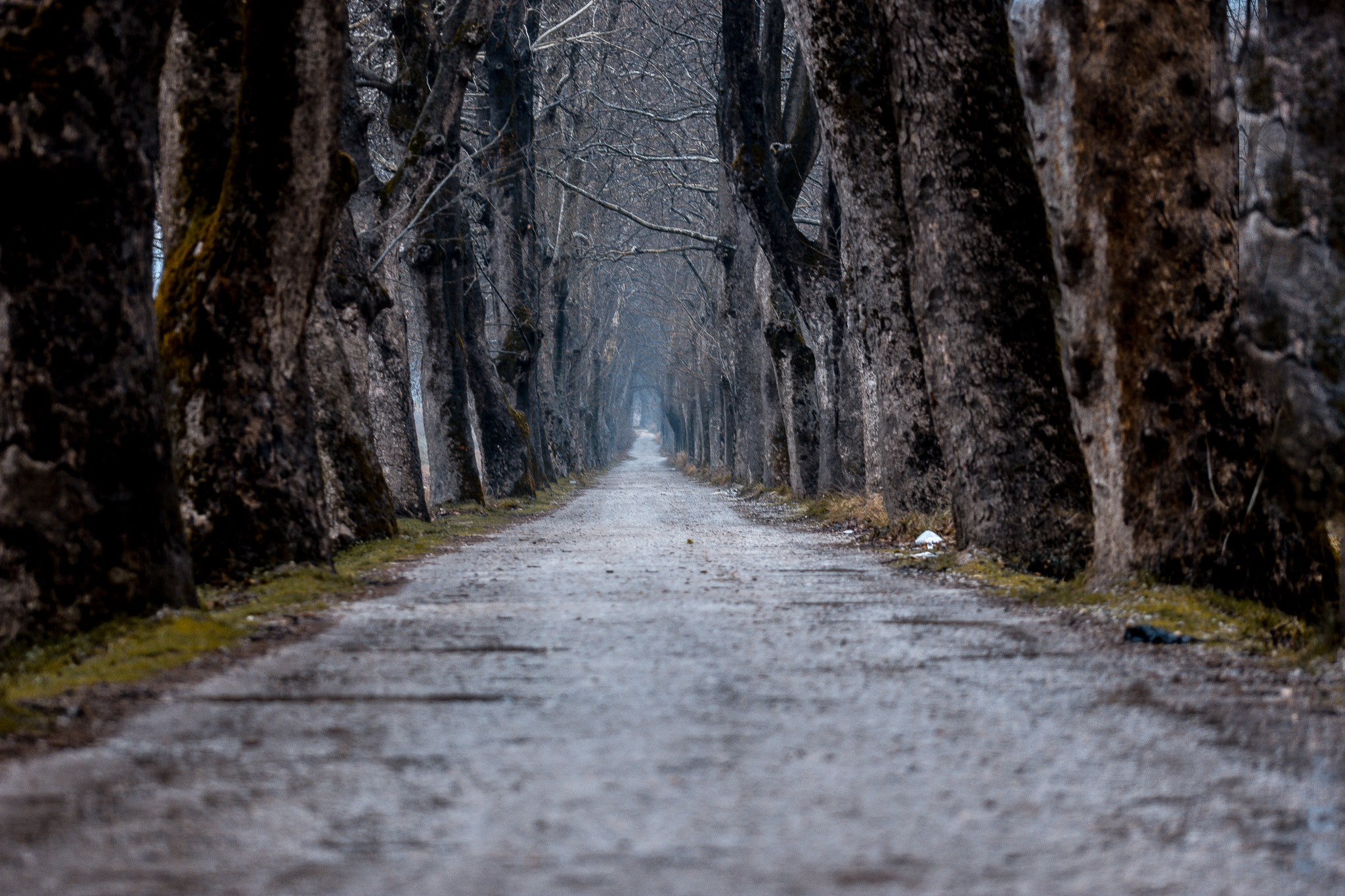 Sigma 105mm F2.8 EX DG OS HSM sample photo. Dudaklı photography