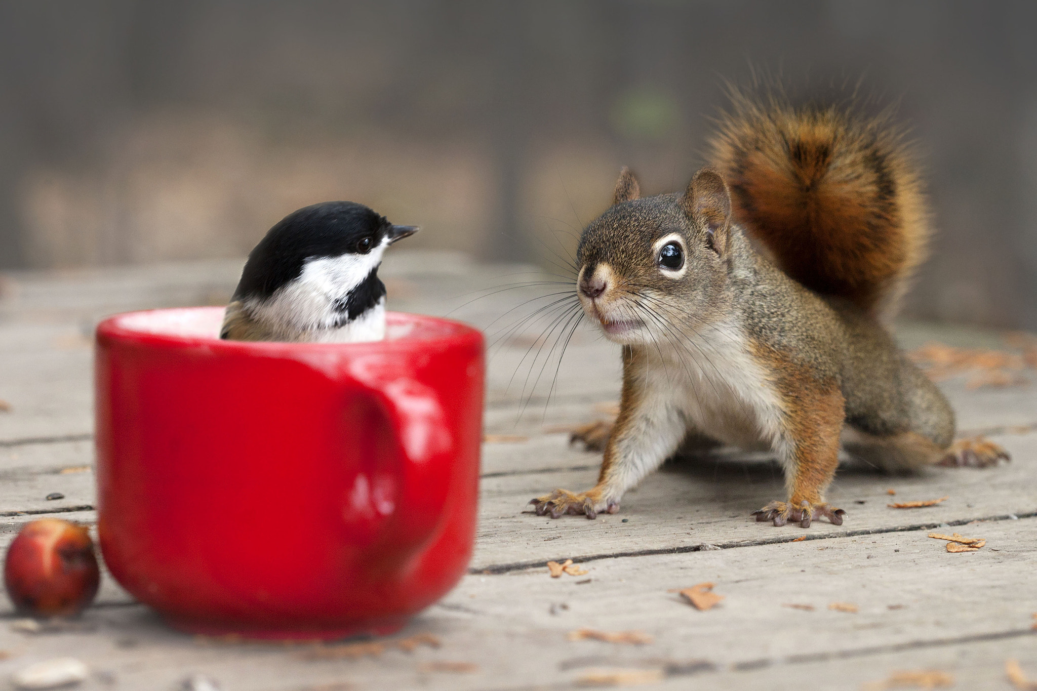 Can I Take A Bath Quiet Please By Andre Villeneuve 500px