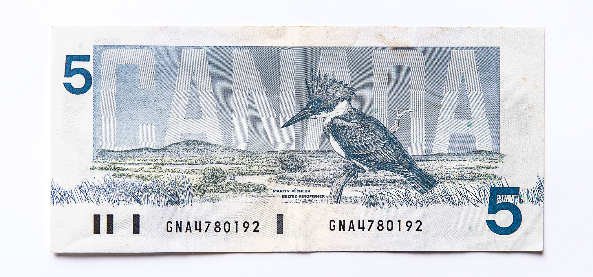 Sigma 24-70mm F2.8 EX DG HSM sample photo. Canadian $5 bill photography