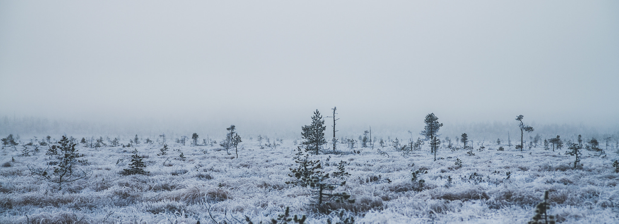 Canon EOS 60D + Sigma 18-50mm f/2.8 Macro sample photo. Wasteland photography