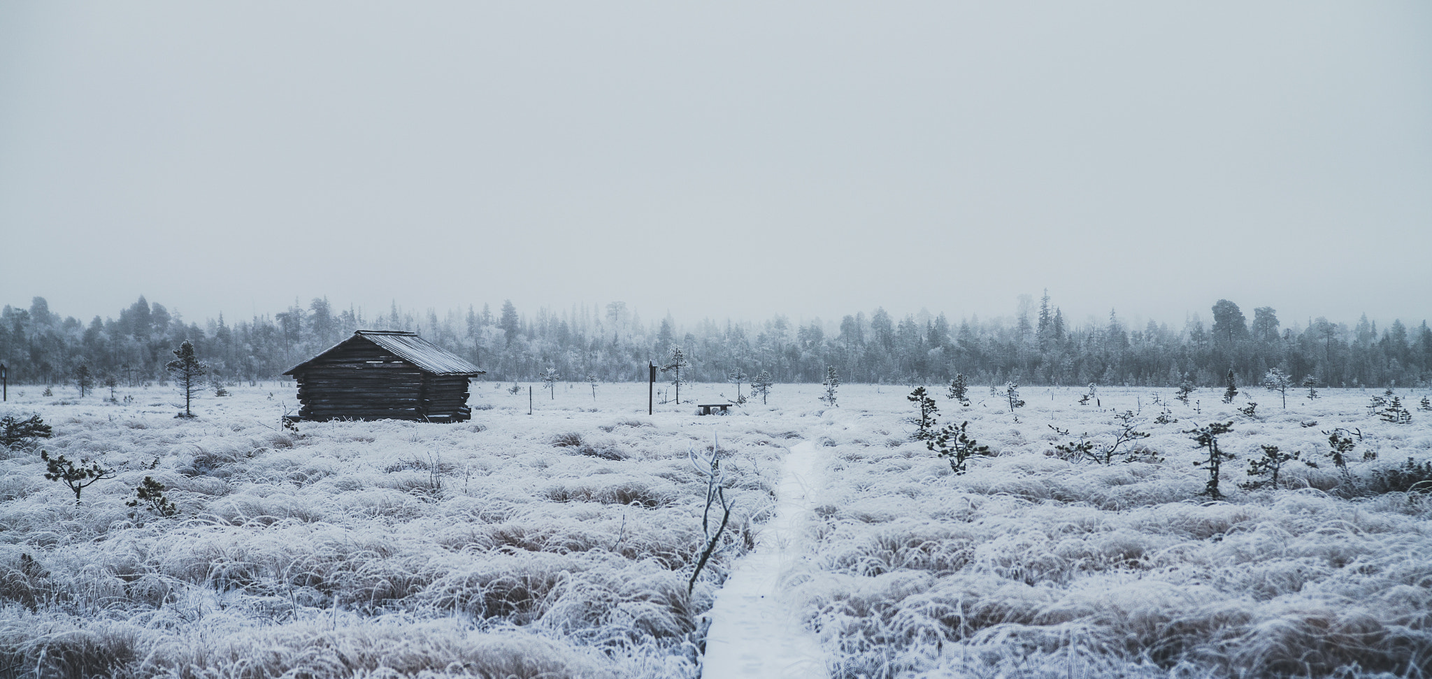 Sigma 18-50mm f/2.8 Macro sample photo. Wasteland ii photography