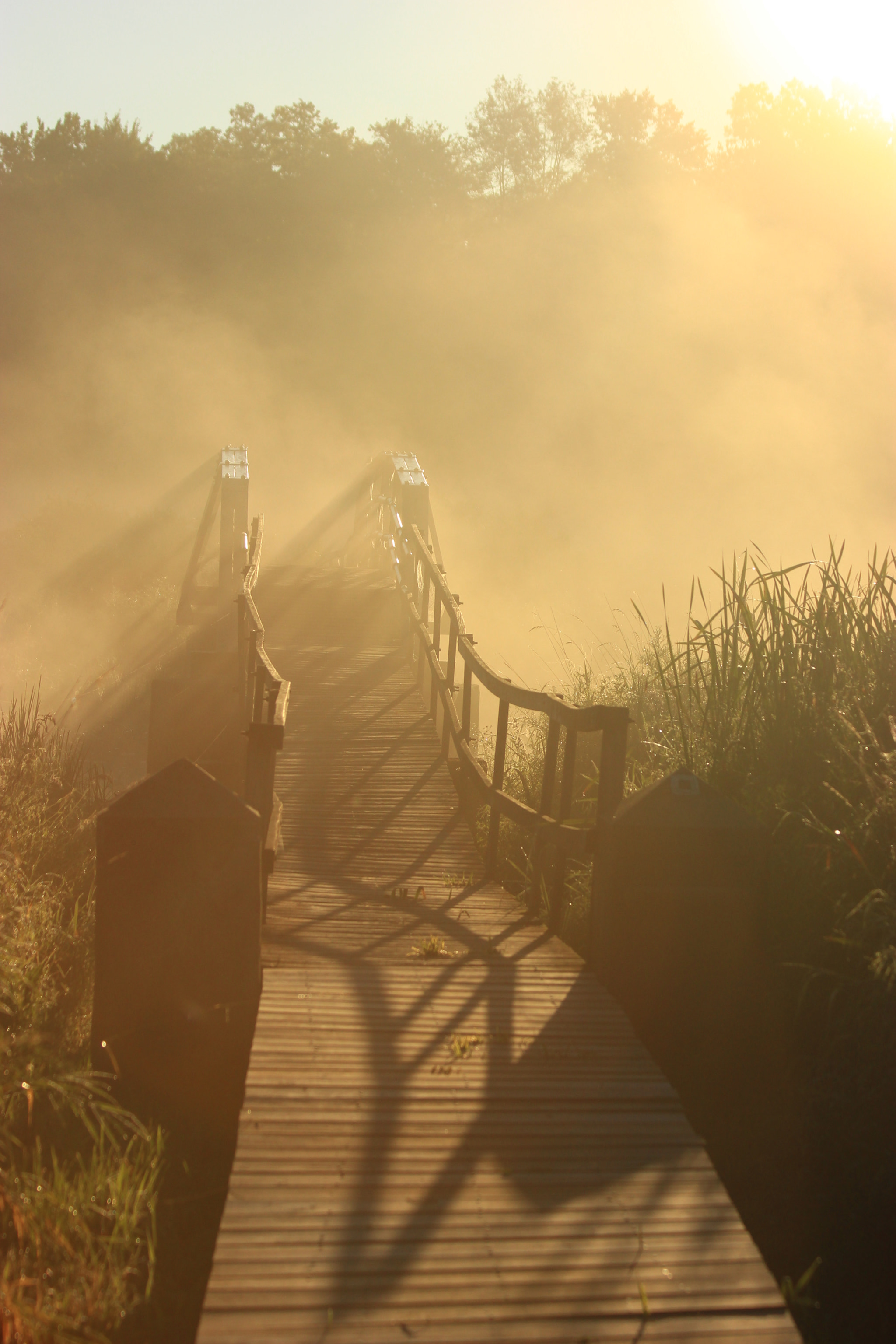 Canon EF 70-300mm F4-5.6 IS USM sample photo. Into the mist photography