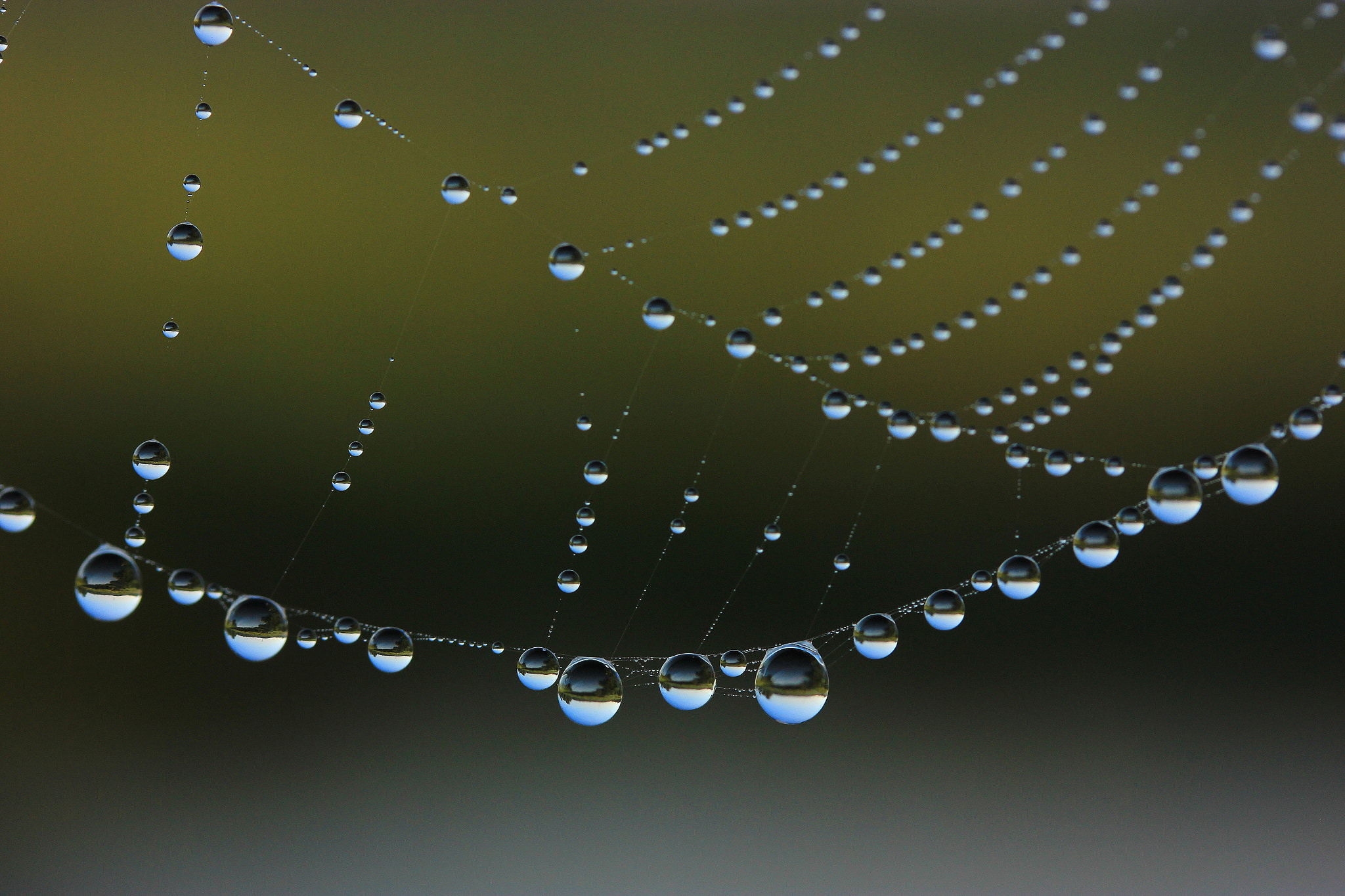 Canon EOS 600D (Rebel EOS T3i / EOS Kiss X5) sample photo. Droplets photography