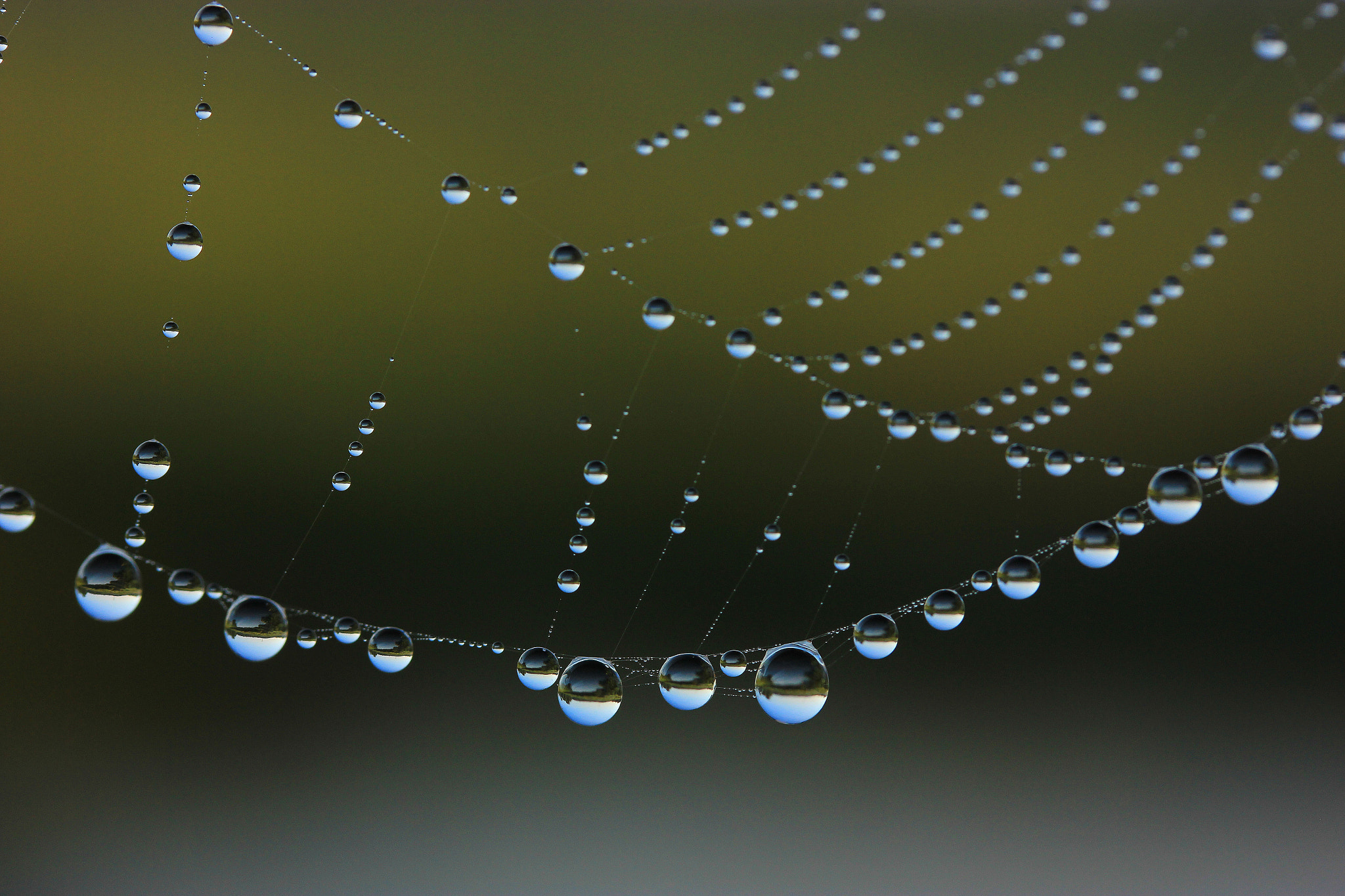 Canon EF-S 60mm F2.8 Macro USM sample photo. Droplets photography