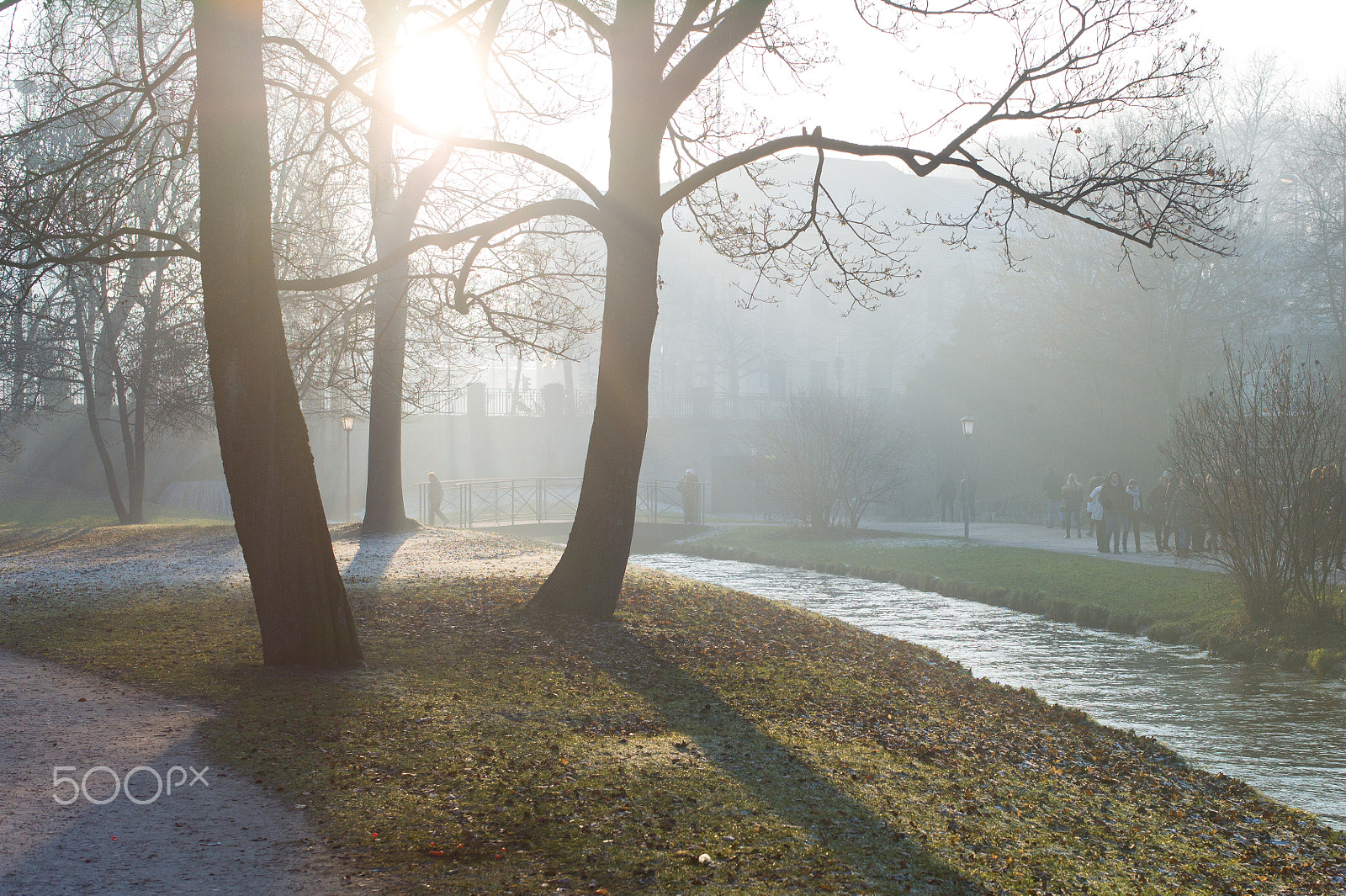 Leica M9 + Leica Summilux-M 50mm F1.4 ASPH sample photo. Sun and trees photography