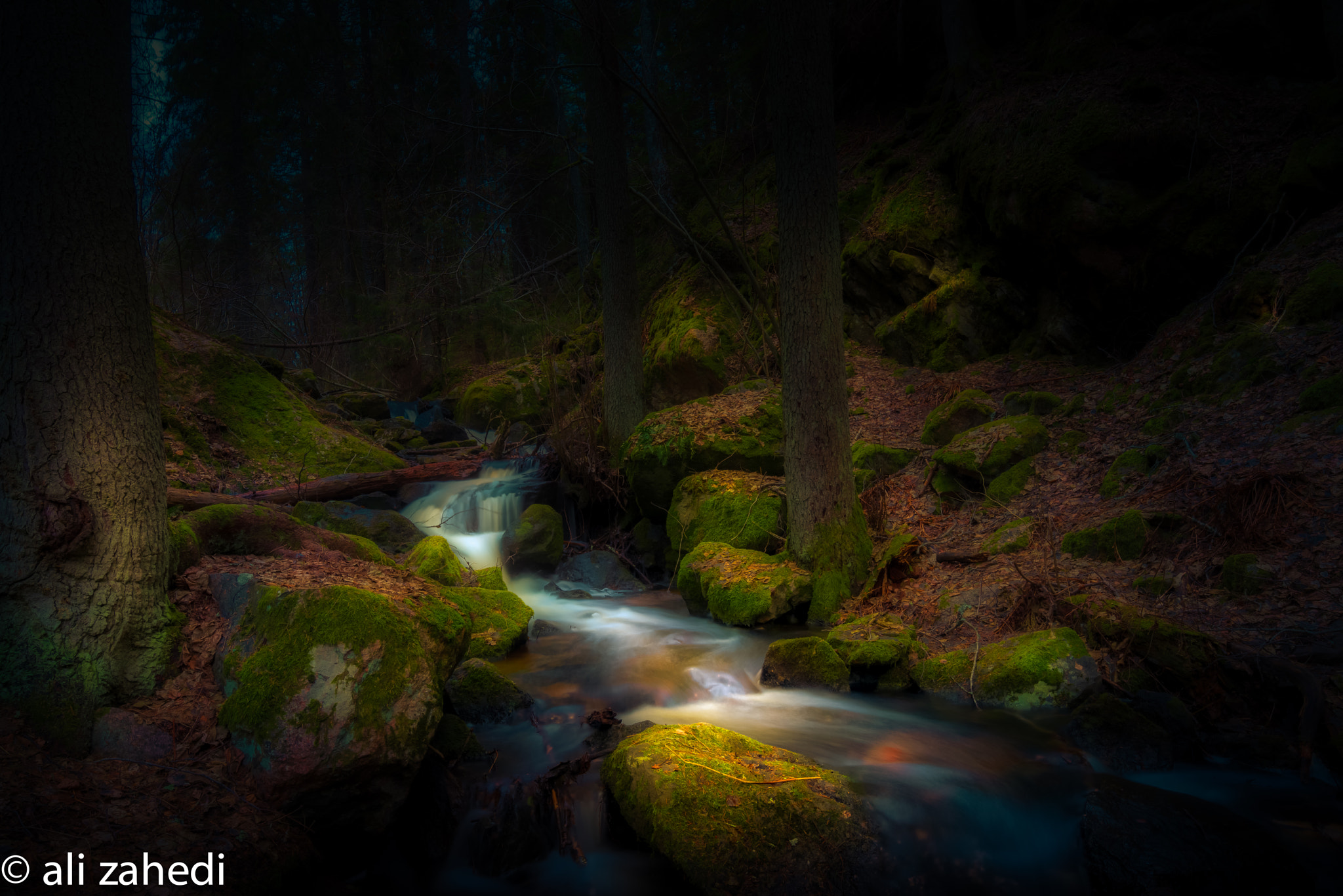 Sony a7R + Sony Vario-Tessar T* FE 16-35mm F4 ZA OSS sample photo. N:park t photography