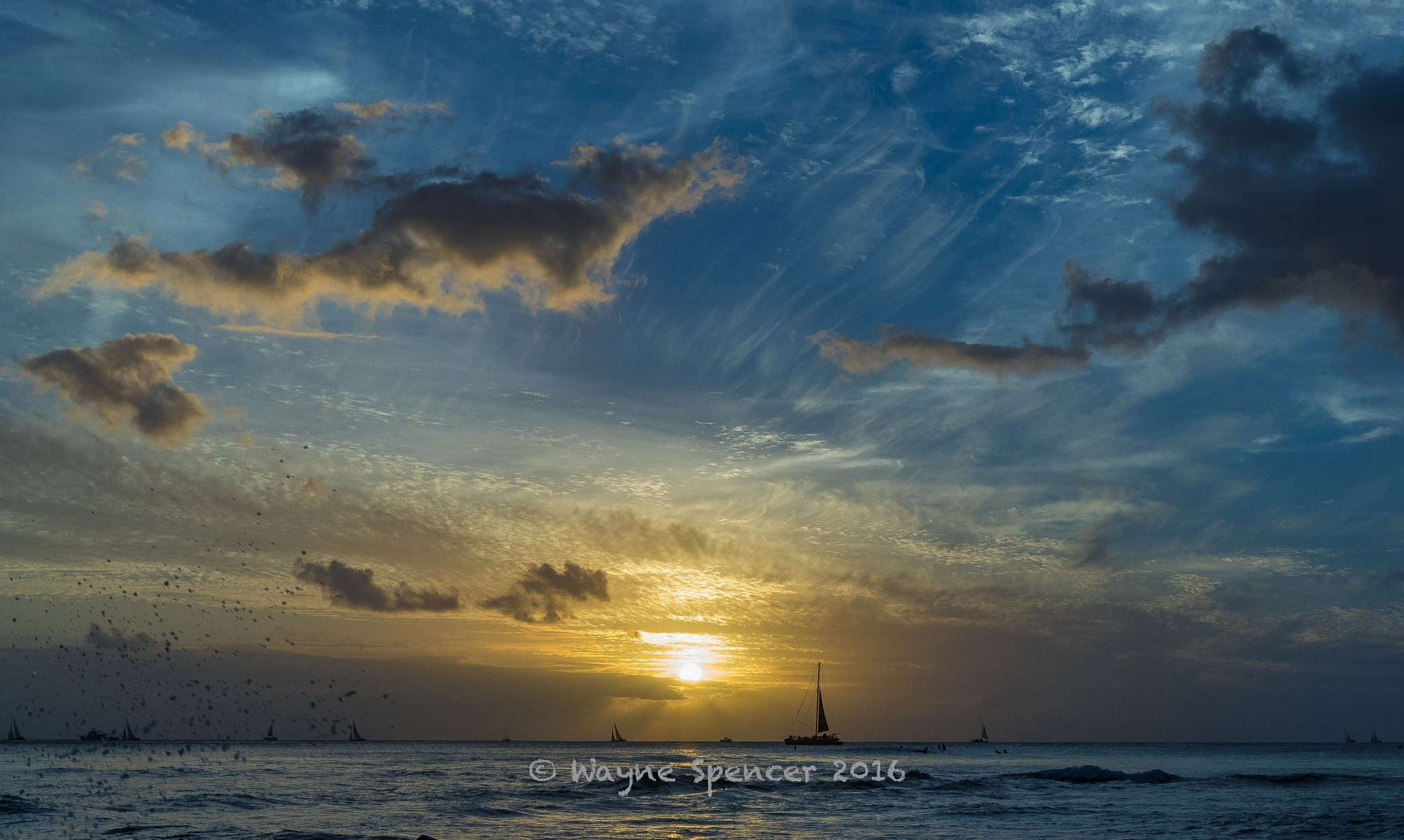 Canon EF 16-35mm F2.8L II USM sample photo. Golden evening photography