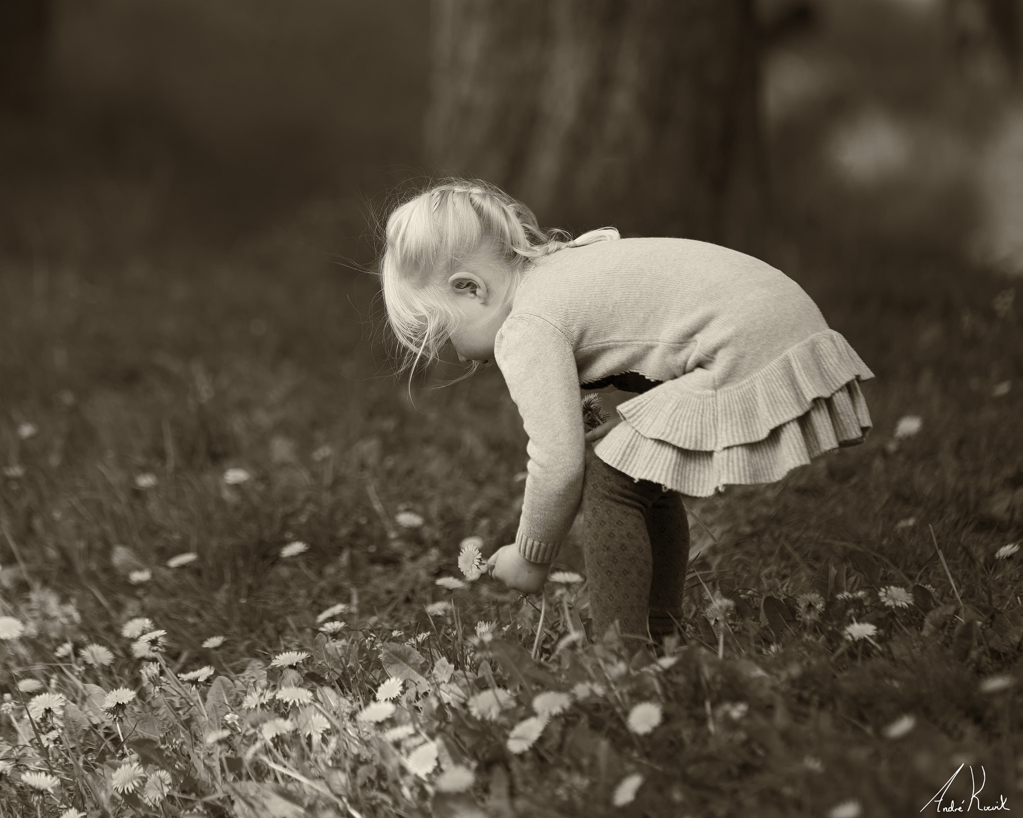 Nikon D800 sample photo. Girl picking flowers photography