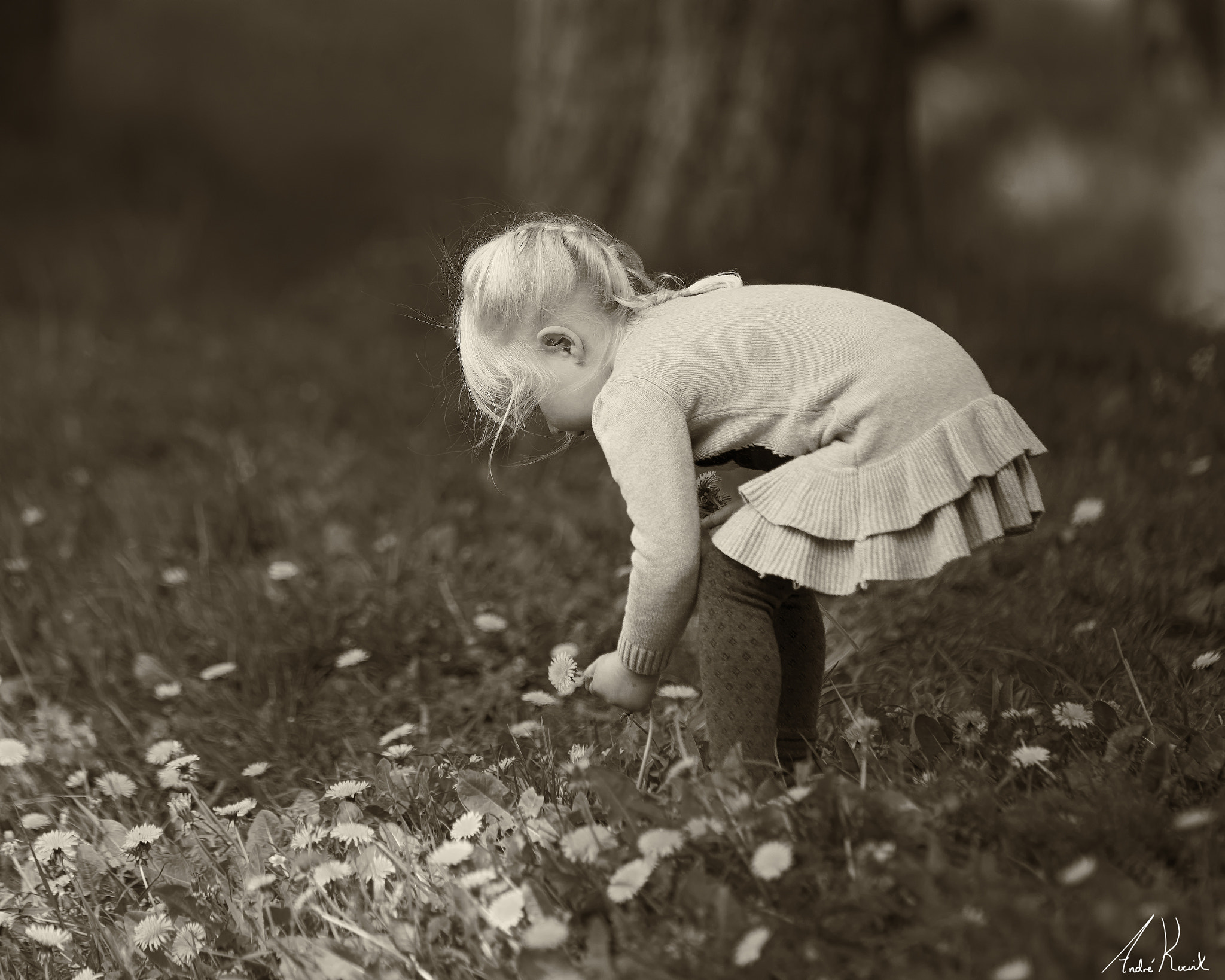 Nikon D800 + Tamron SP 70-200mm F2.8 Di VC USD sample photo. Girl picking flowers photography