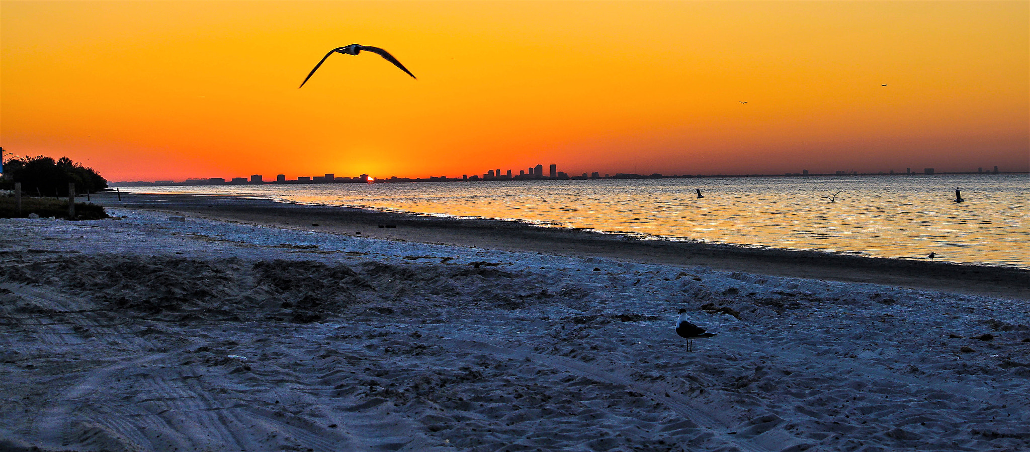 Canon EOS 600D (Rebel EOS T3i / EOS Kiss X5) sample photo. Morning glow photography