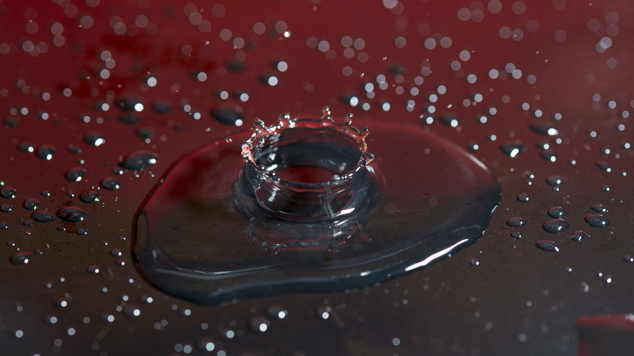 Sigma 105mm F2.8 EX DG OS HSM sample photo. Water drop 4 photography