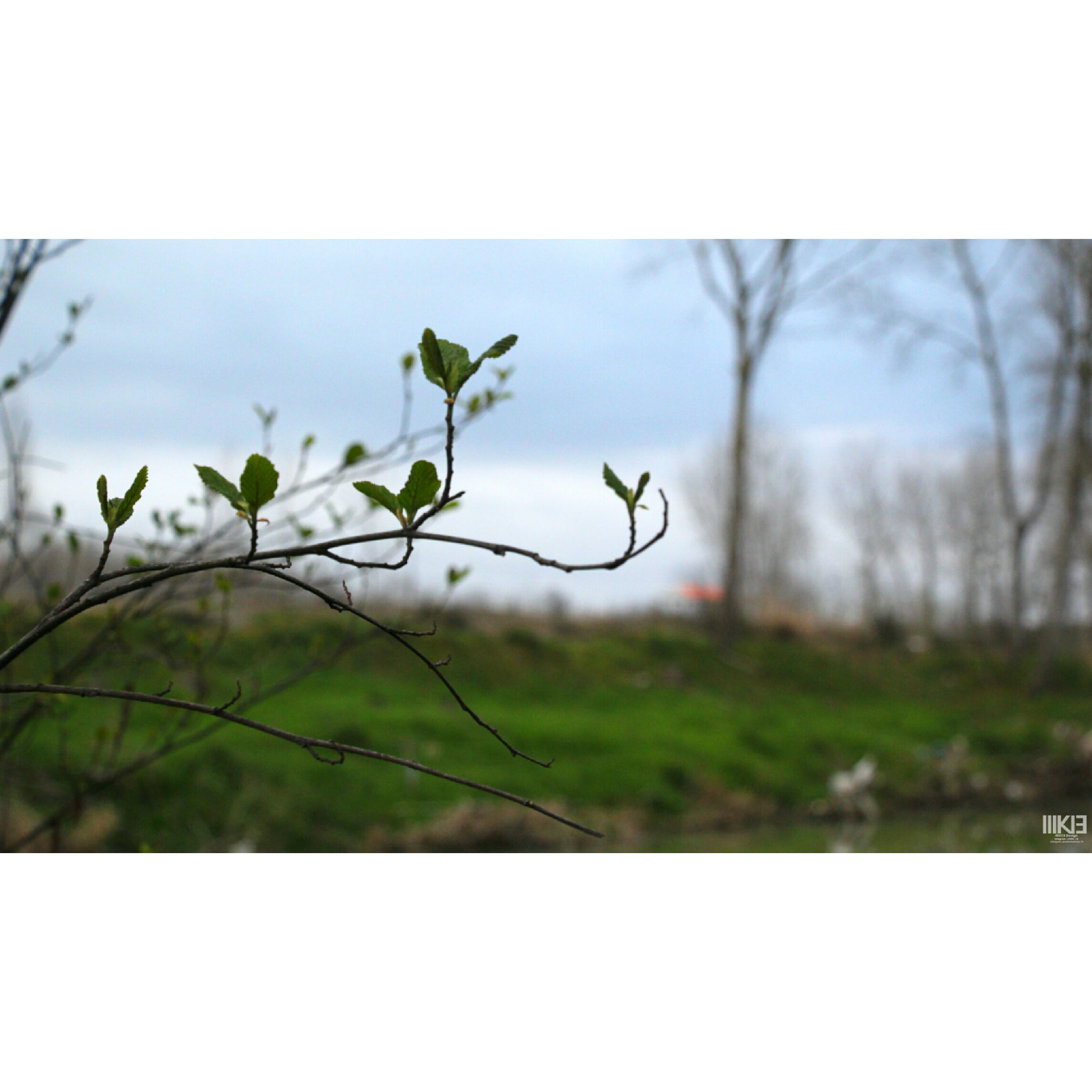 Canon EOS 60D sample photo. Spring... photography