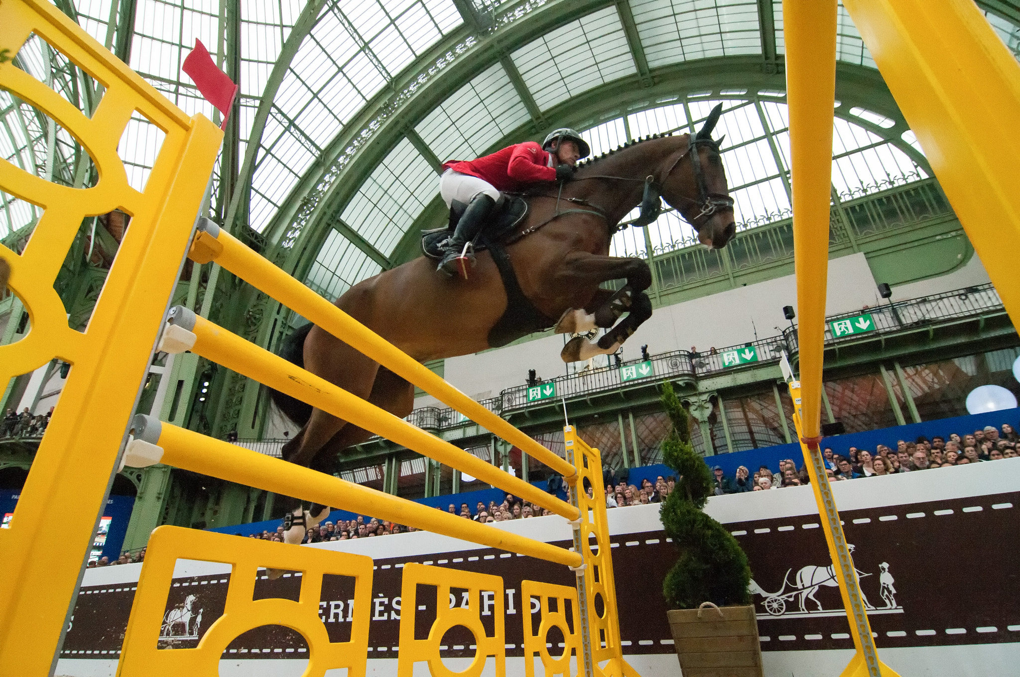 Tokina AT-X Pro 12-24mm F4 (IF) DX sample photo. Bearbeitet photography