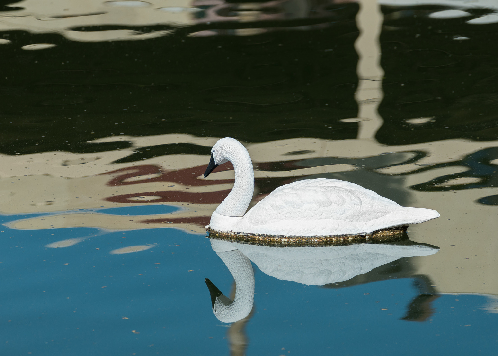 Canon EF 70-300mm F4-5.6L IS USM sample photo. Amazing grace... photography
