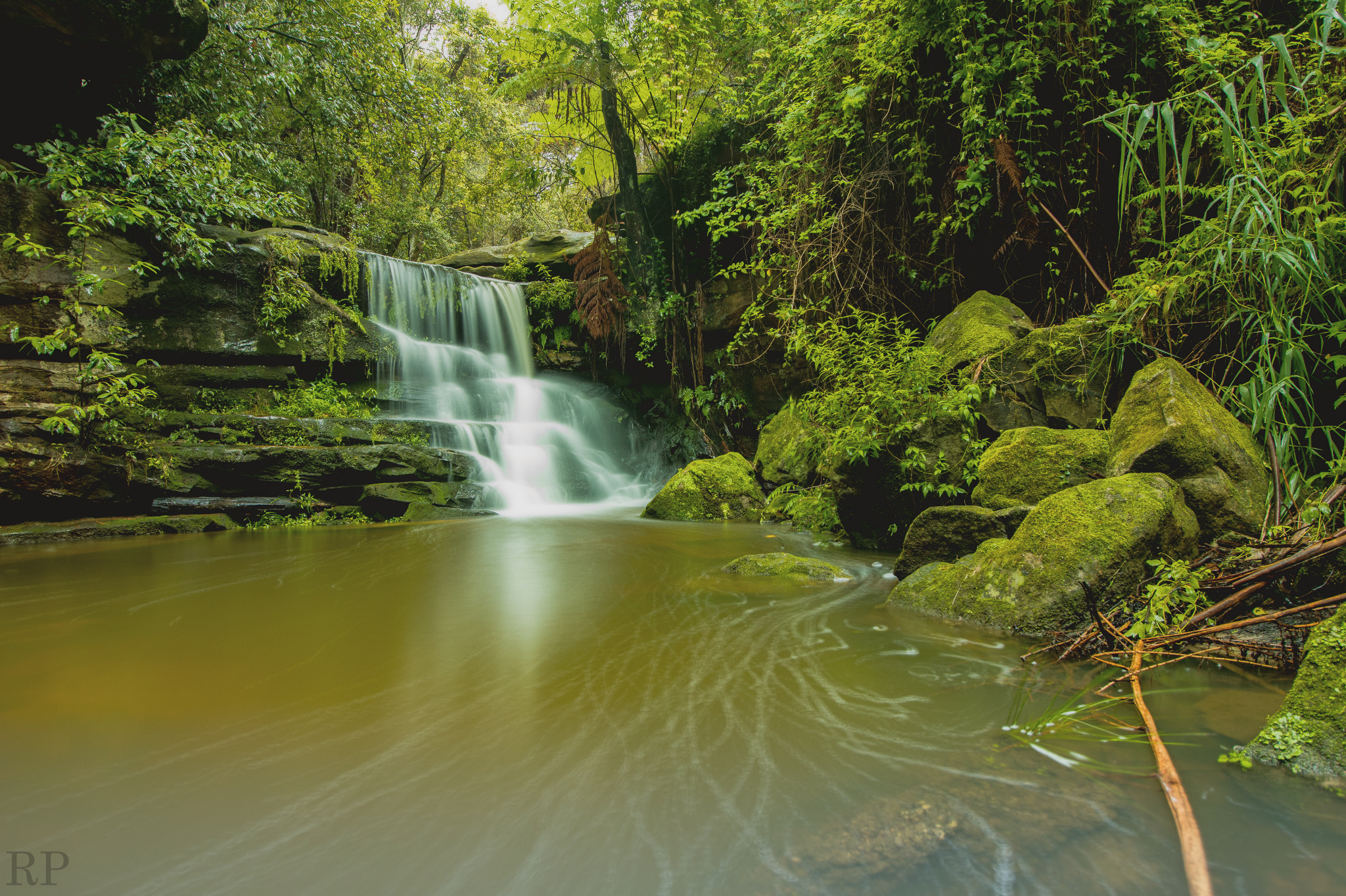 Canon EOS 80D sample photo. Lillipilli falls situated in gore creek reserve-la ... photography