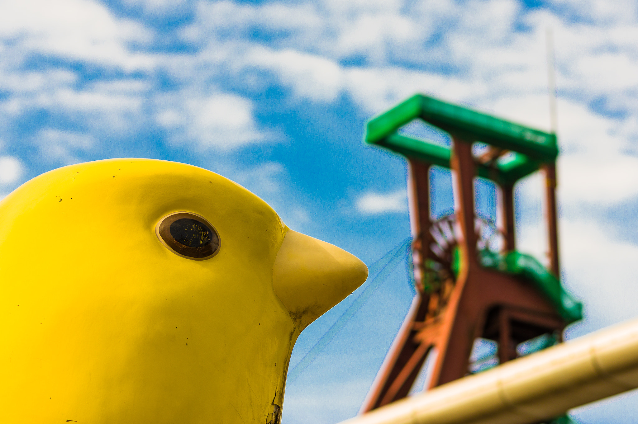 Pentax K-3 II sample photo. The coal mine and the pigeon photography