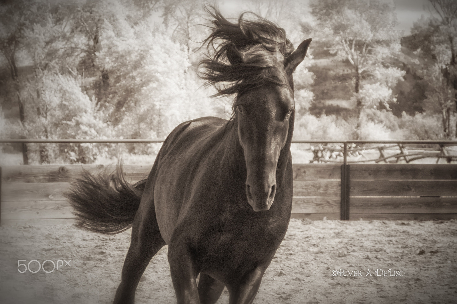 AF Zoom-Nikkor 28-80mm f/3.3-5.6G sample photo. Locomotion deliso photography
