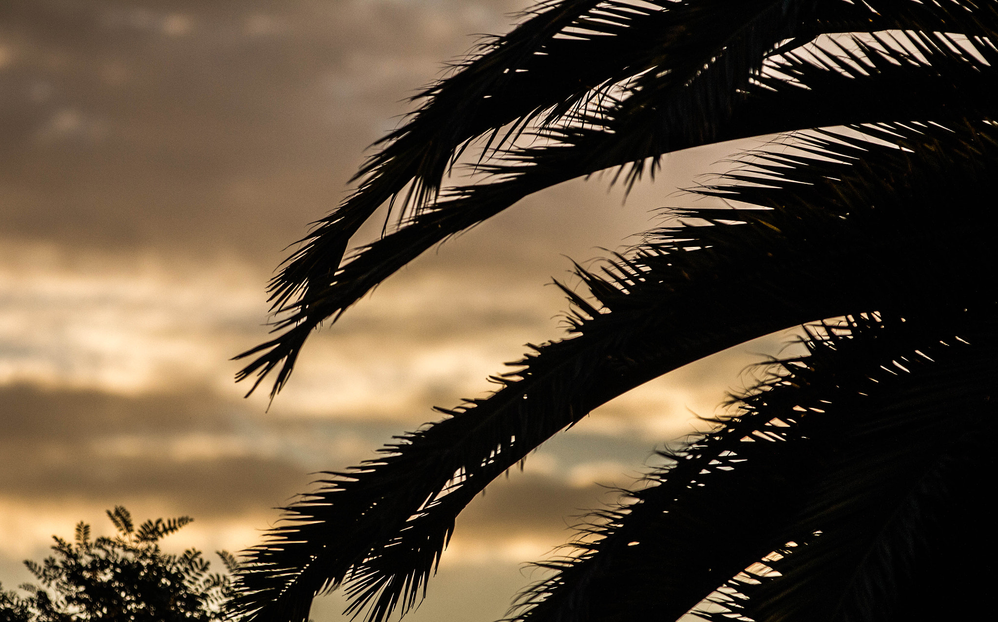 Canon EF 70-200mm F2.8L IS II USM sample photo. Puesta de sol photography