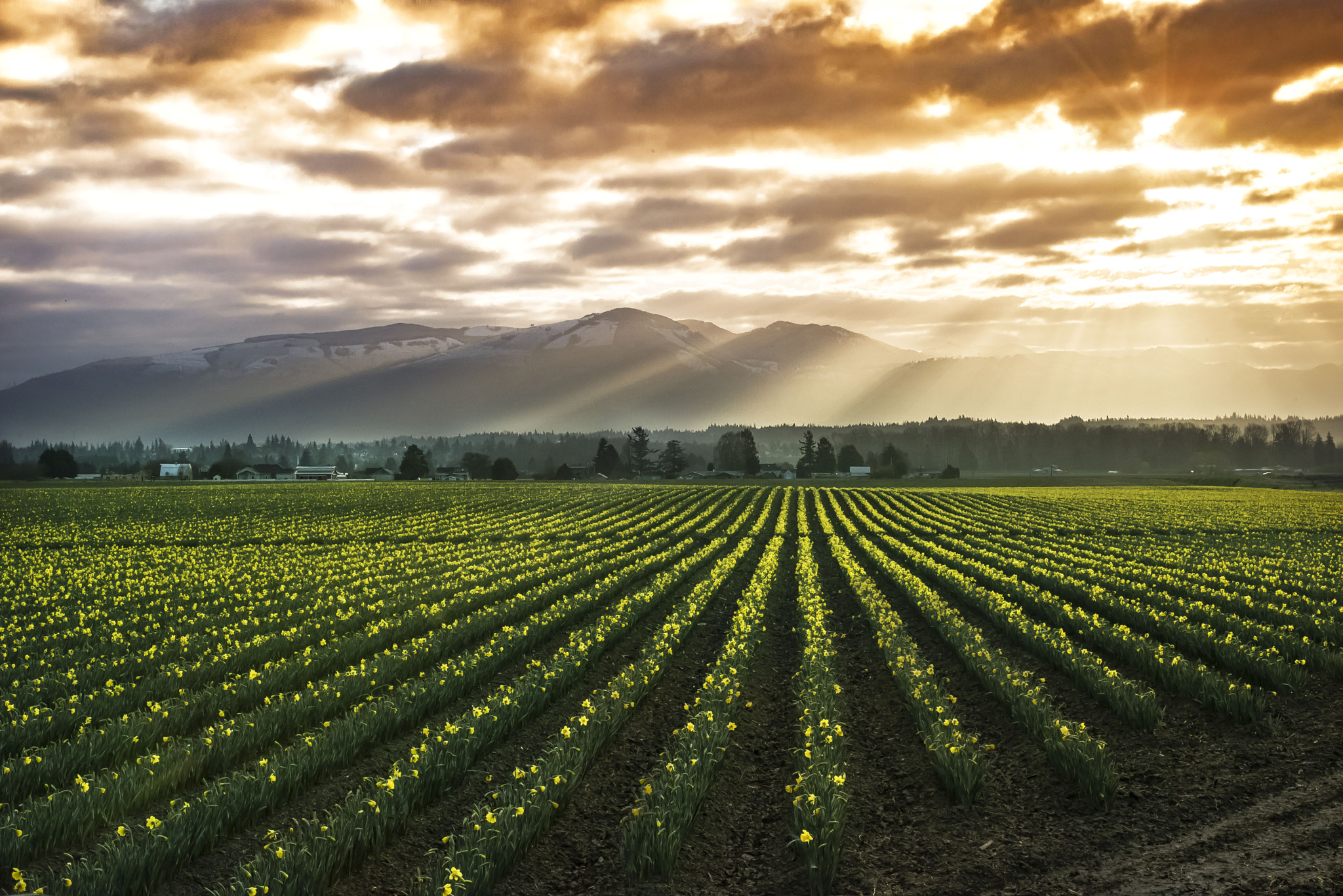 Nikon AF-S Nikkor 70-200mm F2.8G ED VR II sample photo. Sunrise at skagit valley photography