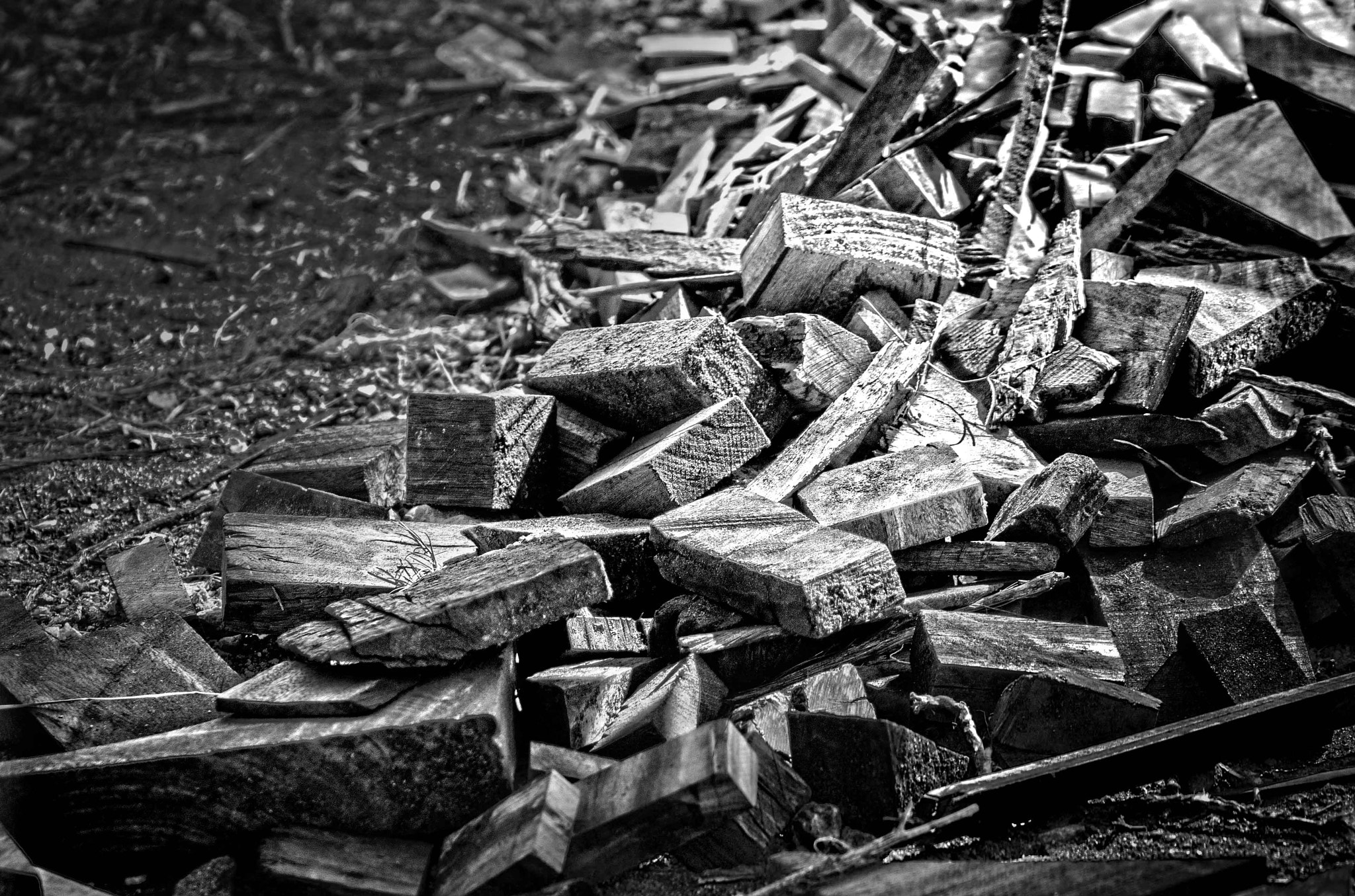 Canon EOS 1100D (EOS Rebel T3 / EOS Kiss X50) + EF75-300mm f/4-5.6 sample photo. Lack and white in wood photography