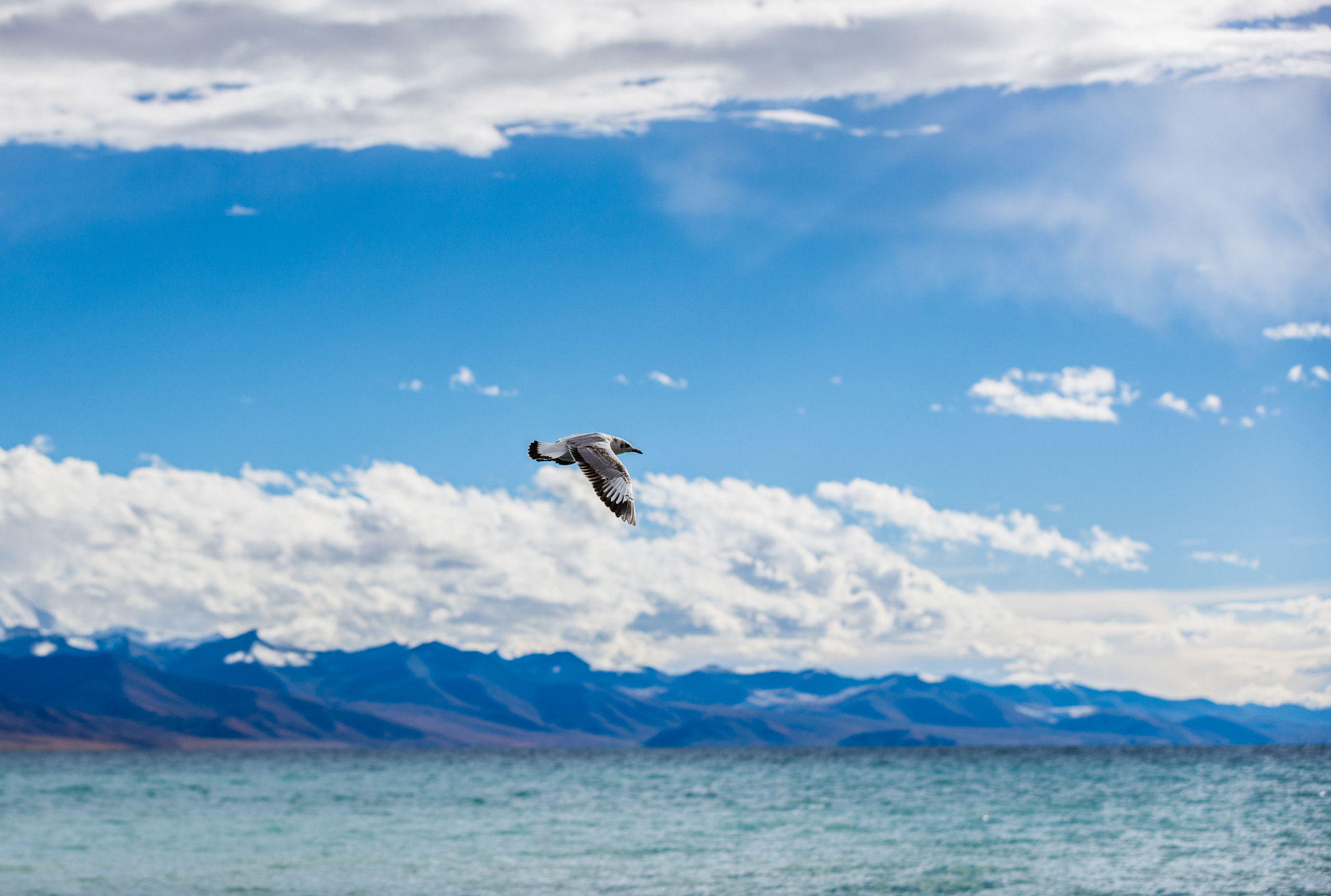 Canon EOS 5DS R sample photo