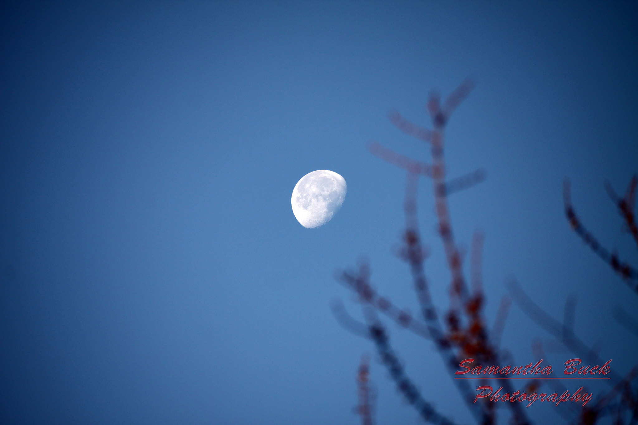 Canon EOS 50D + Canon EF-S 55-250mm F4-5.6 IS STM sample photo. Good morning moon photography