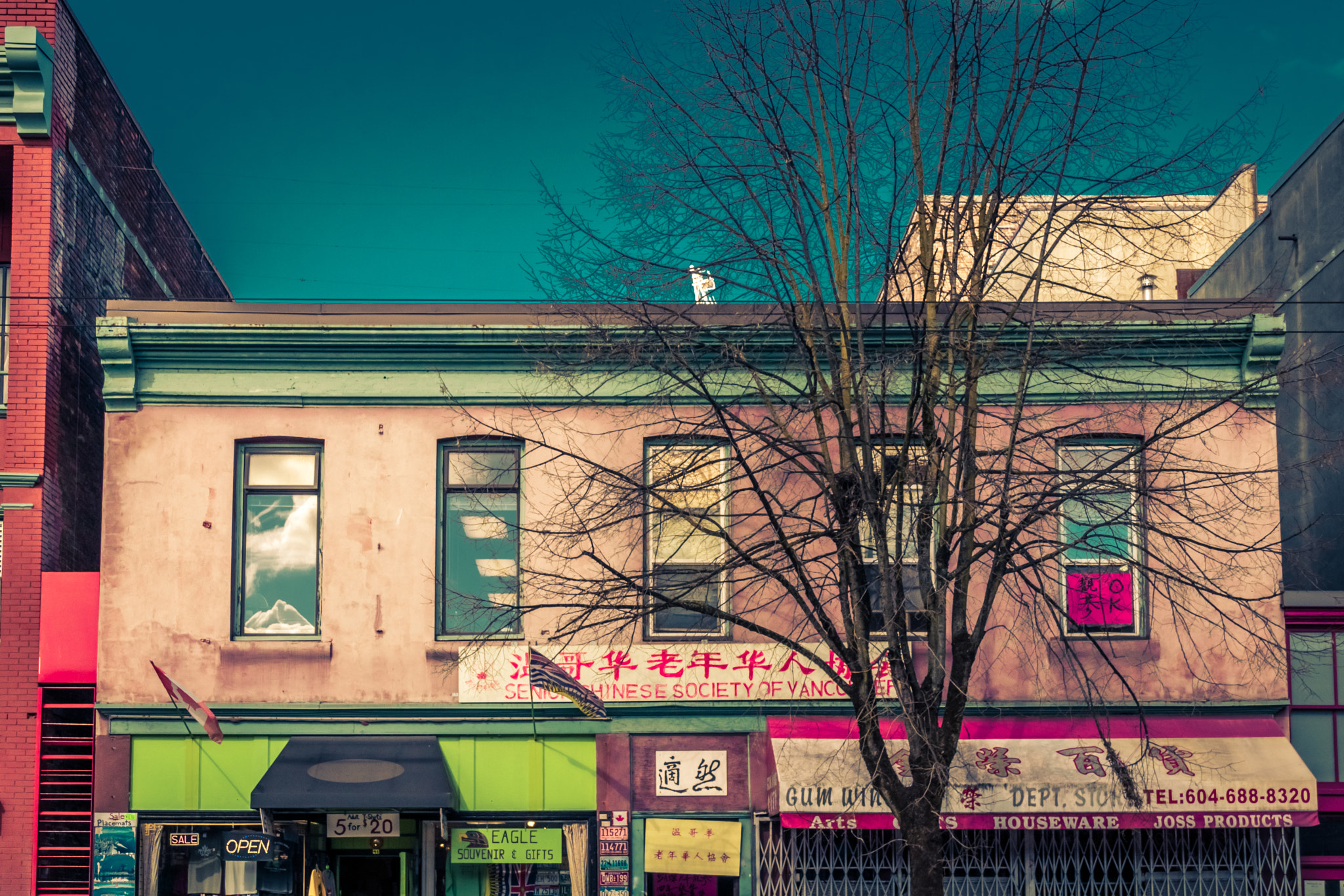 Sigma 18-250mm F3.5-6.3 DC OS HSM sample photo. Senior chinese society photography