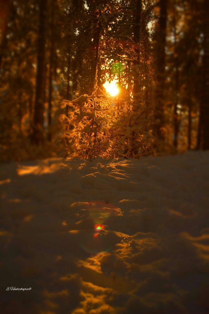 Nikon D3200 sample photo. Nature susnshine photography