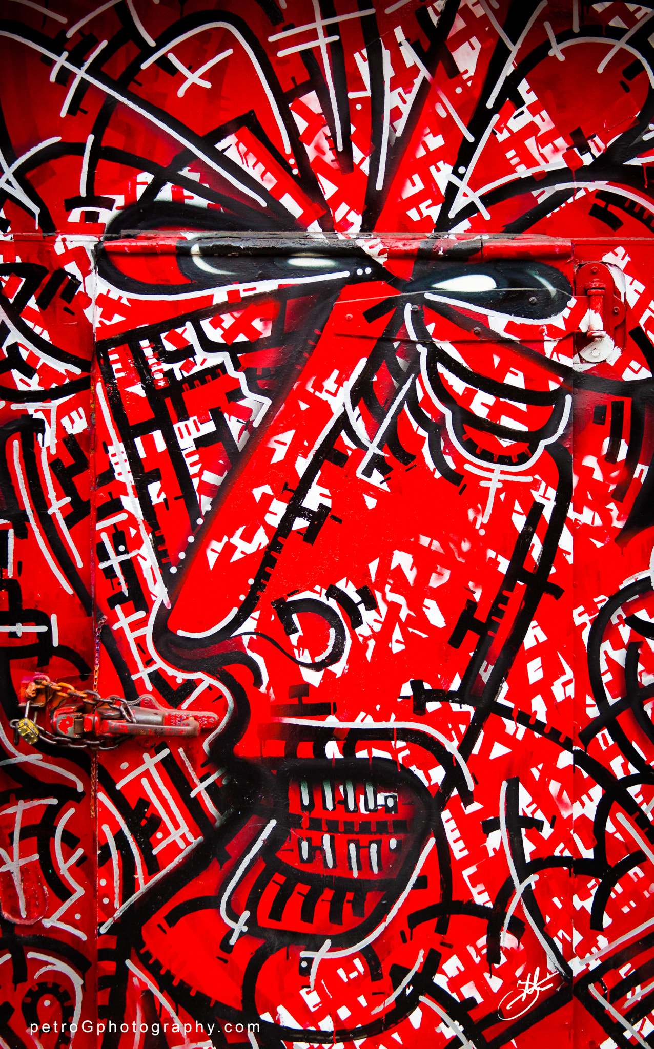 Canon EF 28-135mm F3.5-5.6 IS USM sample photo. Graffiti door photography