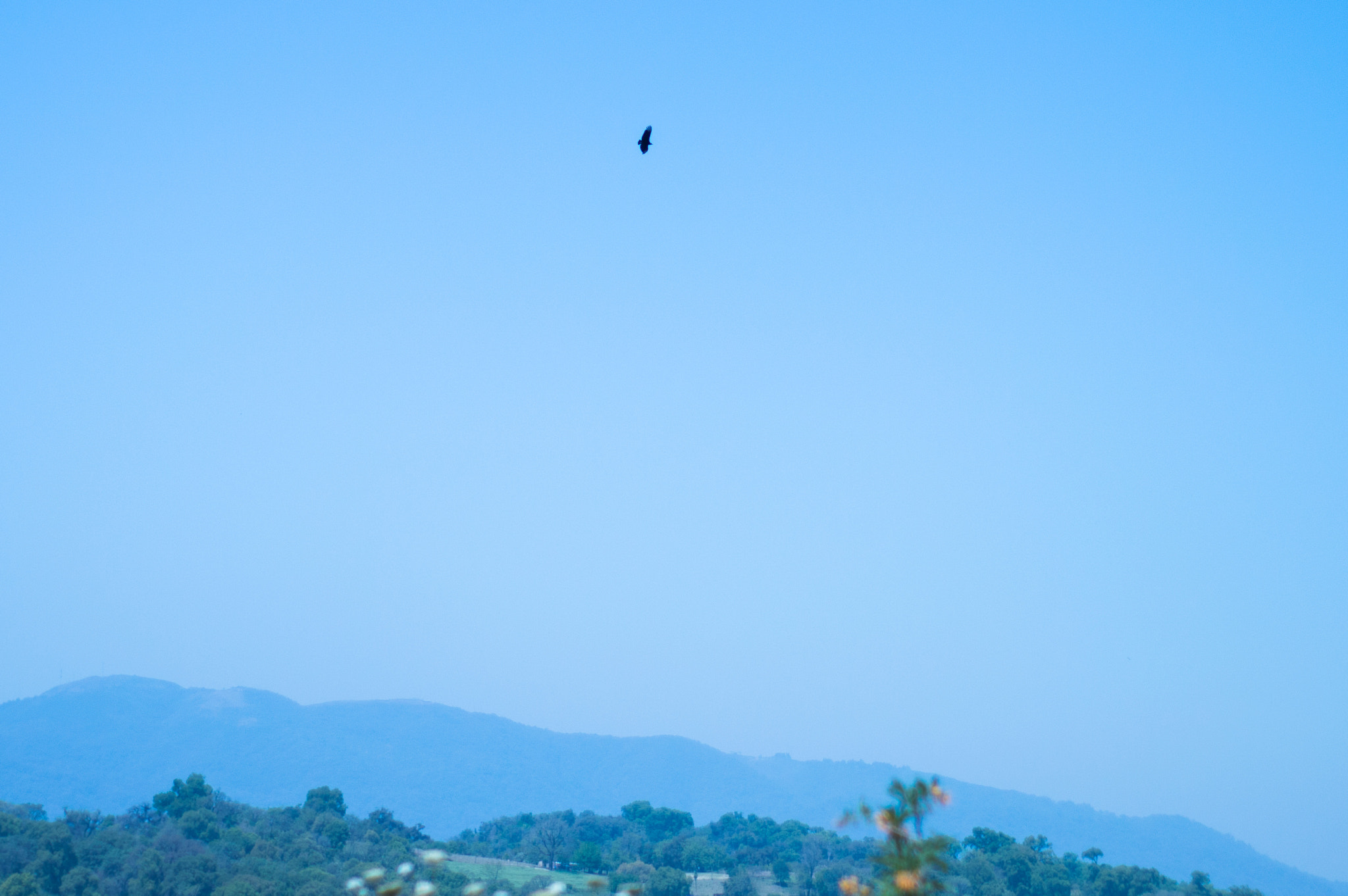 Nikon D3200 sample photo. The belonging photography