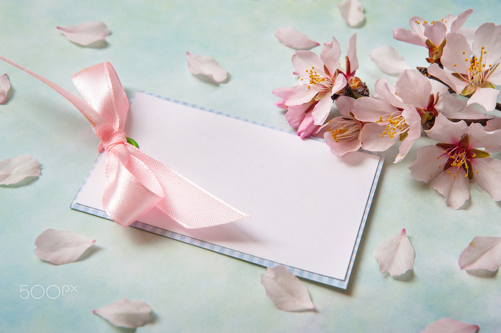 Nikon D700 + Sigma 24-70mm F2.8 EX DG Macro sample photo. Blank card among almond flowers on light blue background photography