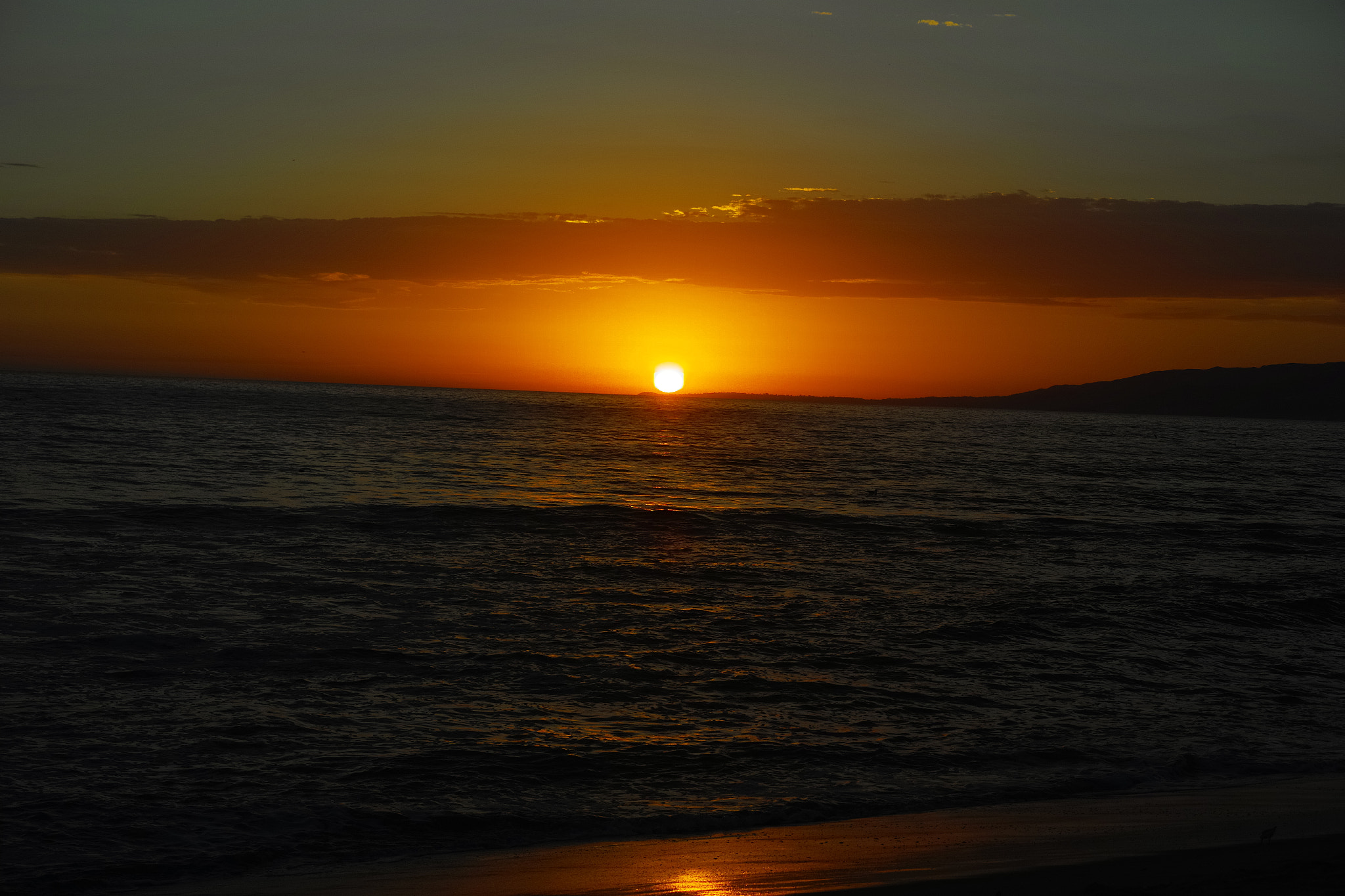 Sigma dp3 Quattro sample photo. The red crimson sunset in california photography