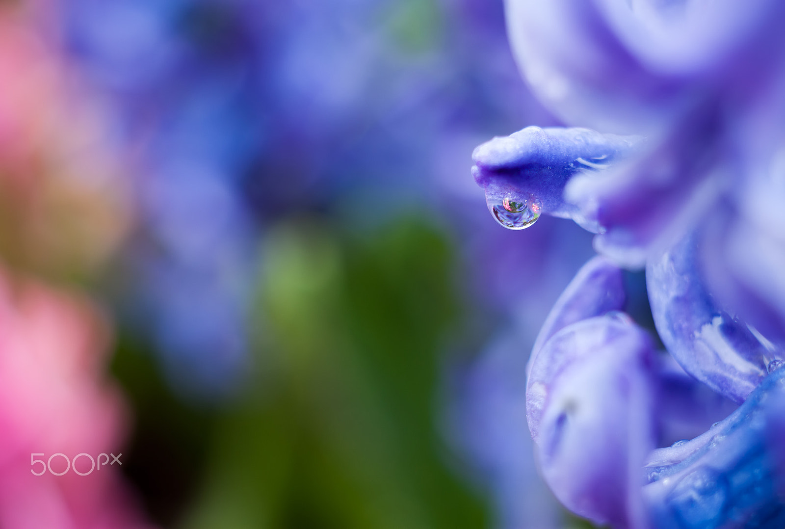 Canon EF 35-80mm f/4-5.6 sample photo. After... photography