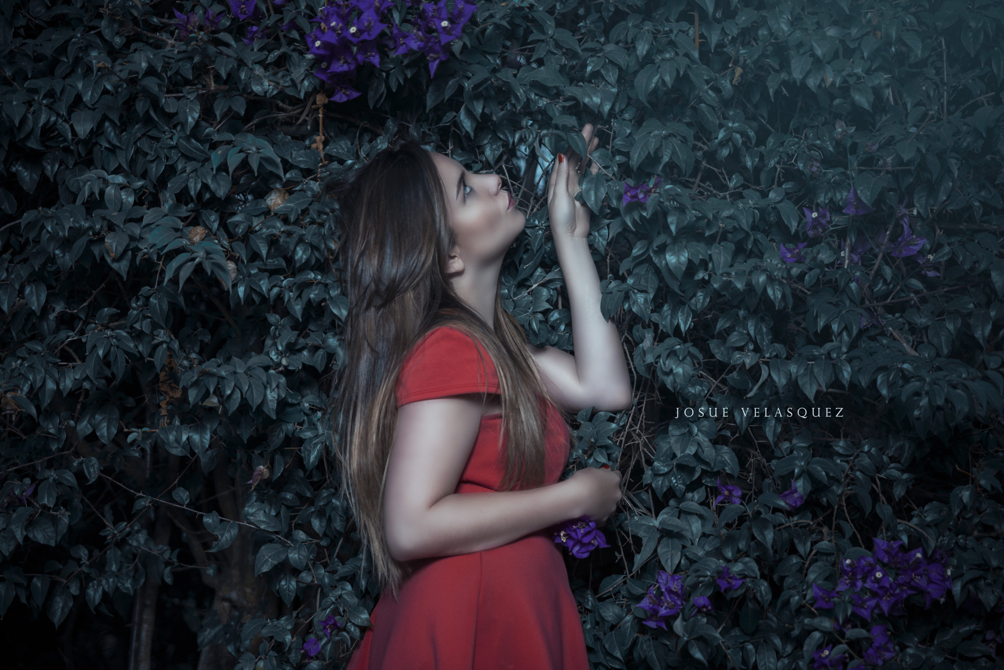 Sigma 24-70mm F2.8 EX DG HSM sample photo. Maria isabel photography