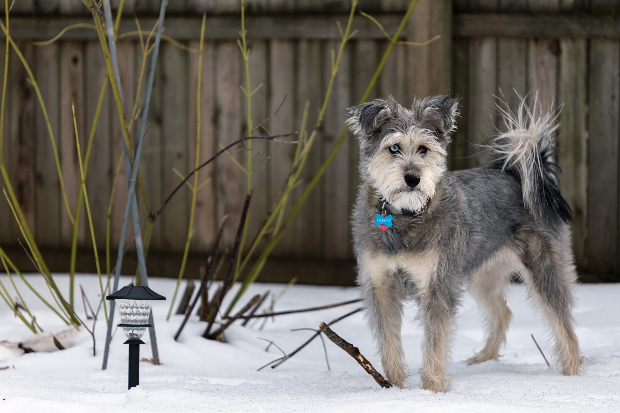 Canon EF 300mm F2.8L IS II USM sample photo. Muddy mouth photography