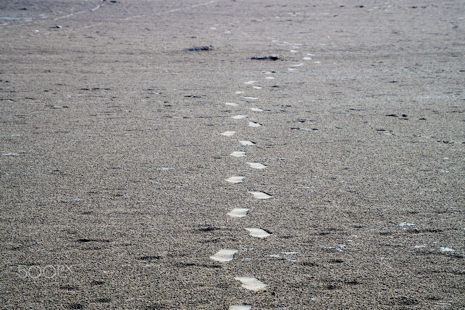 Tamron 16-300mm F3.5-6.3 Di II VC PZD Macro sample photo. Footprints photography