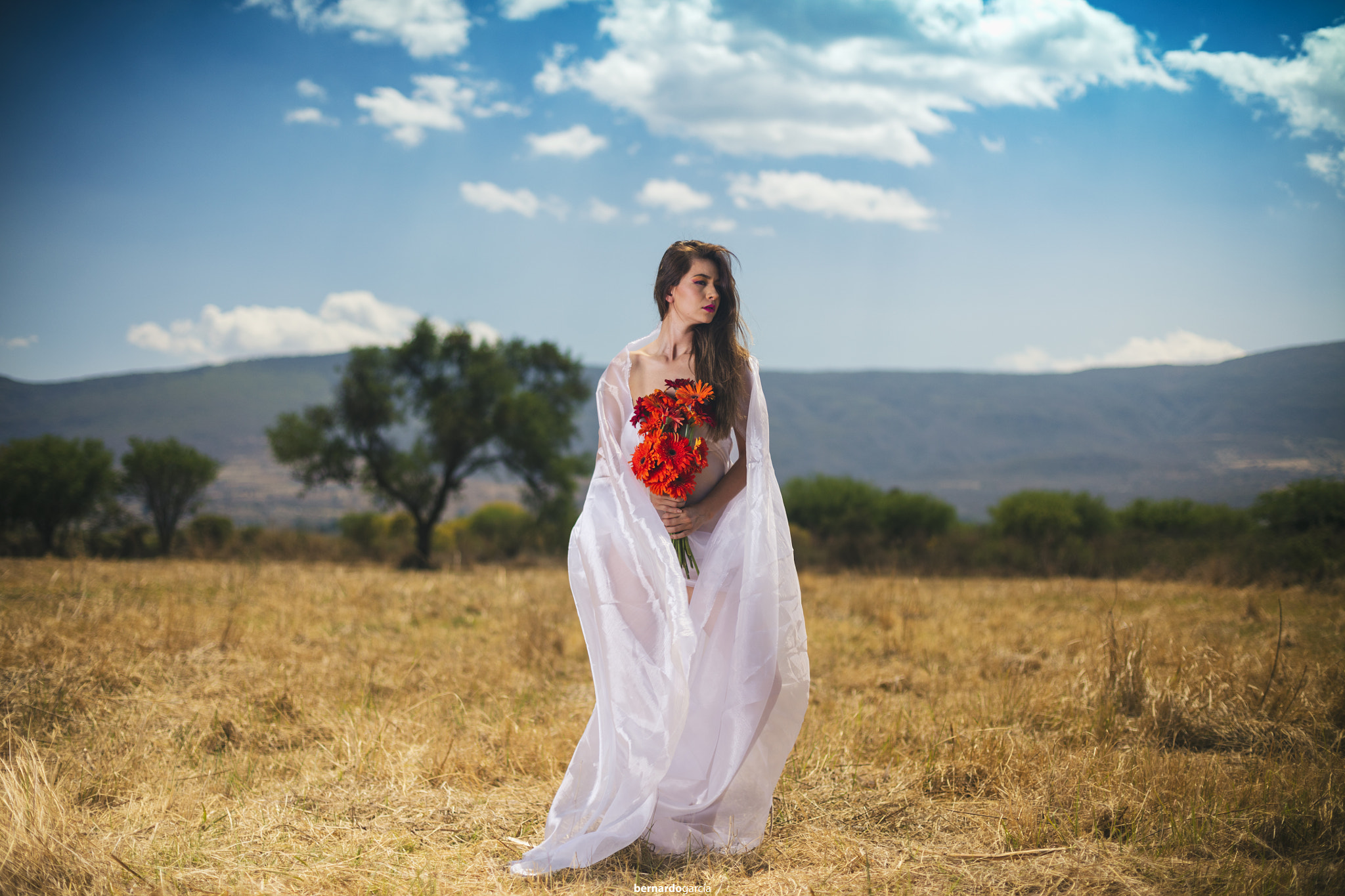 Canon EOS 5DS R sample photo. Spring photography