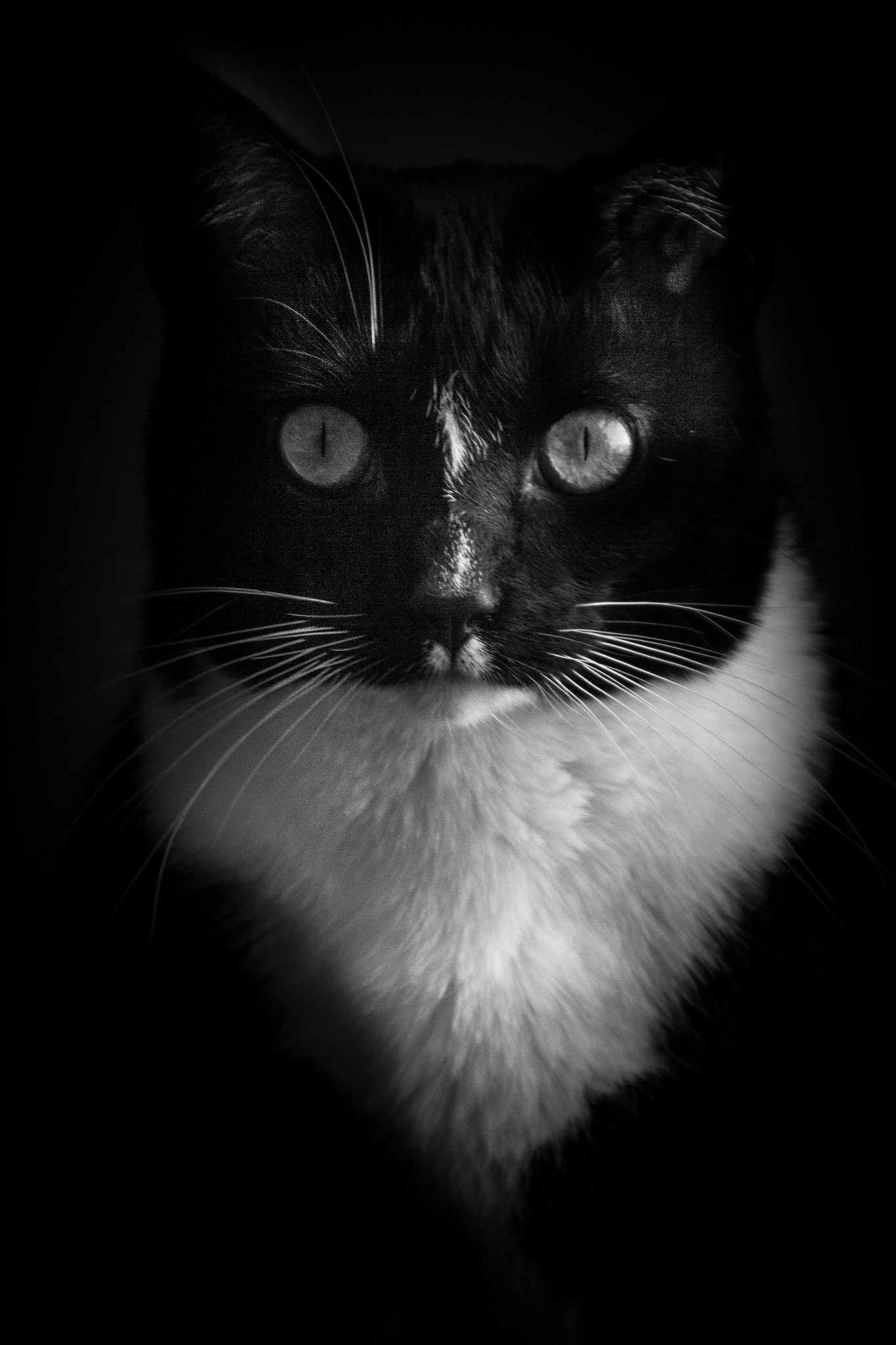 Canon EOS 60D sample photo. Look into my eyes photography