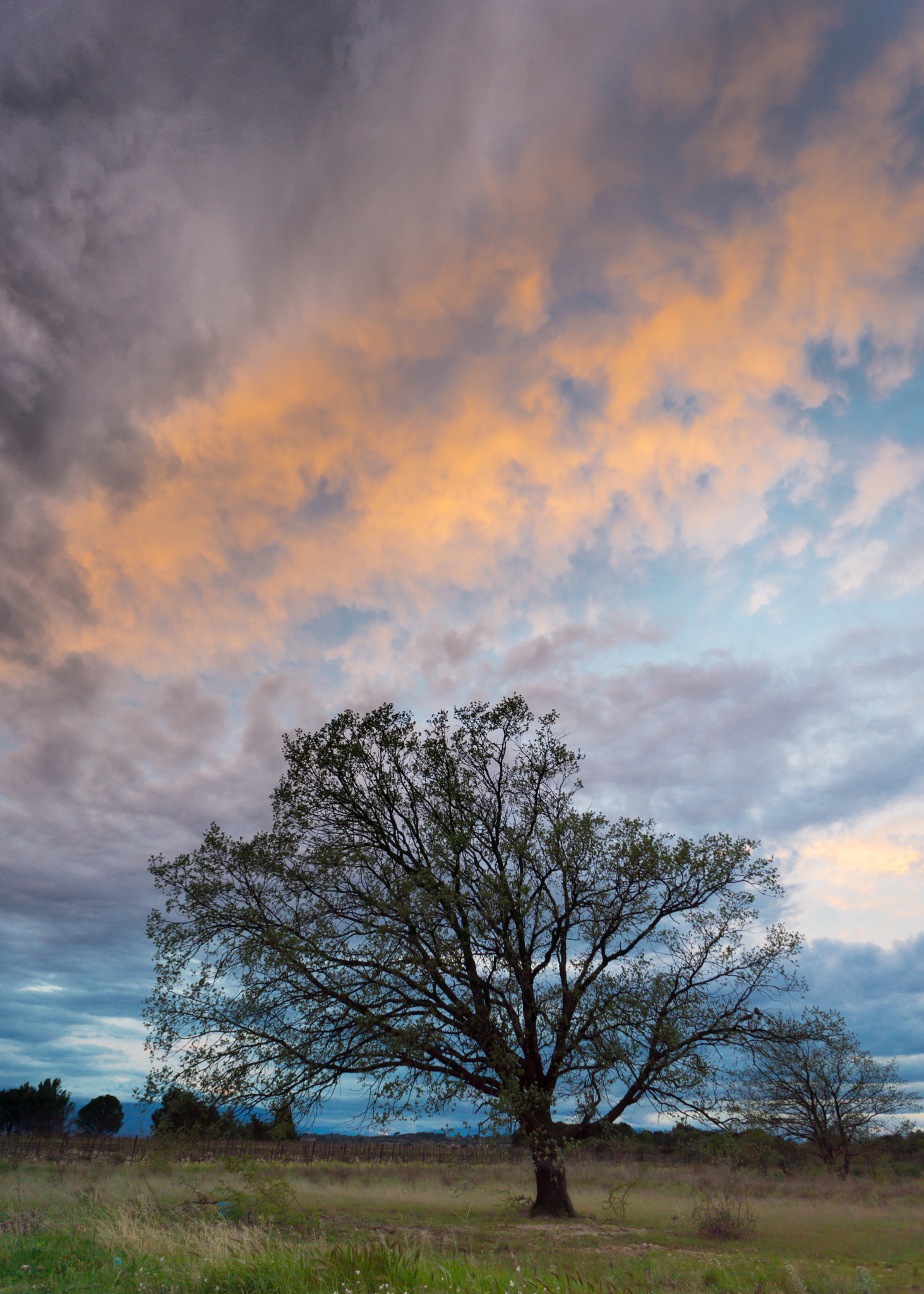 Sony a6000 + Sony E 16mm F2.8 sample photo. Last sun beam photography